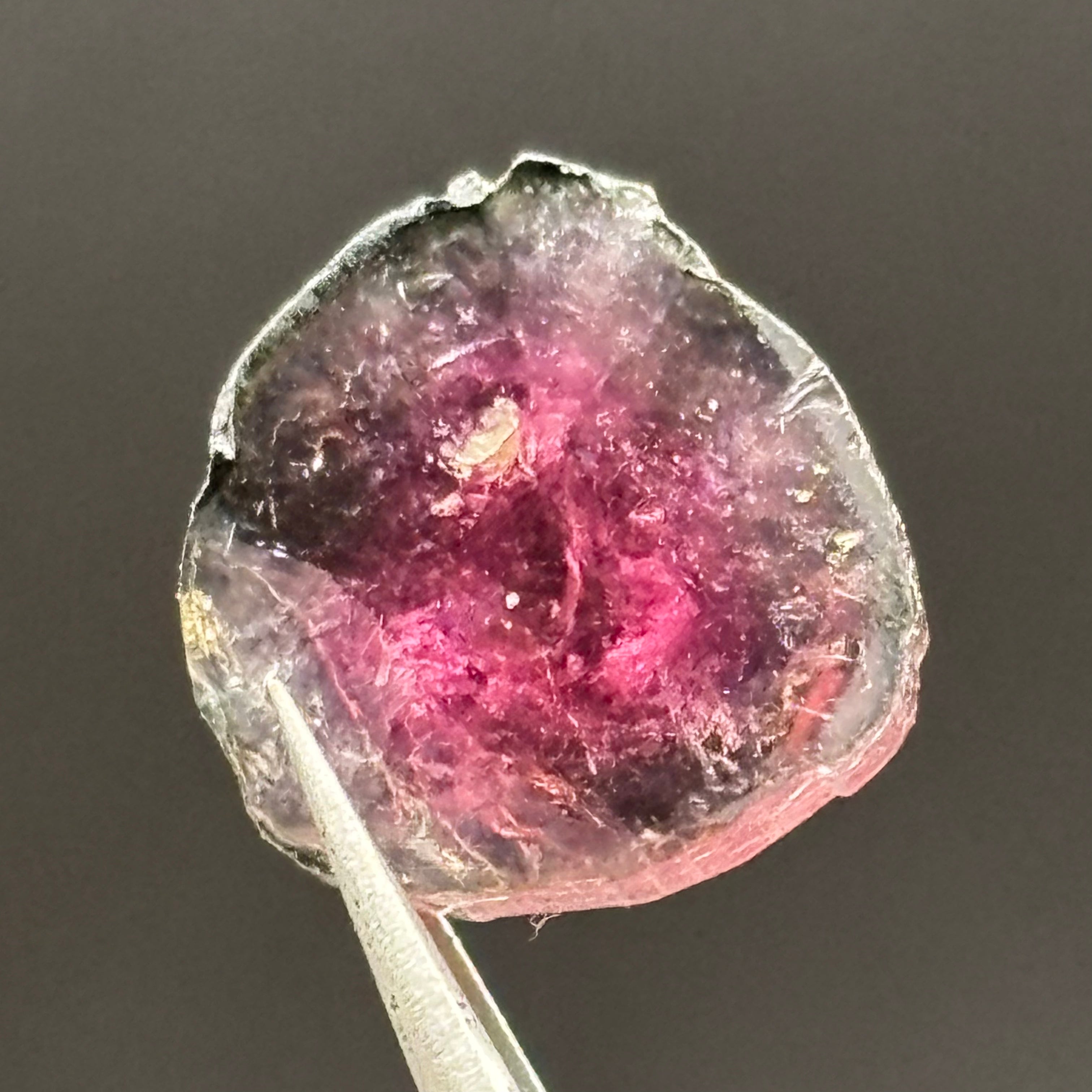 Watermelon Tourmaline Crystal Slice - 138