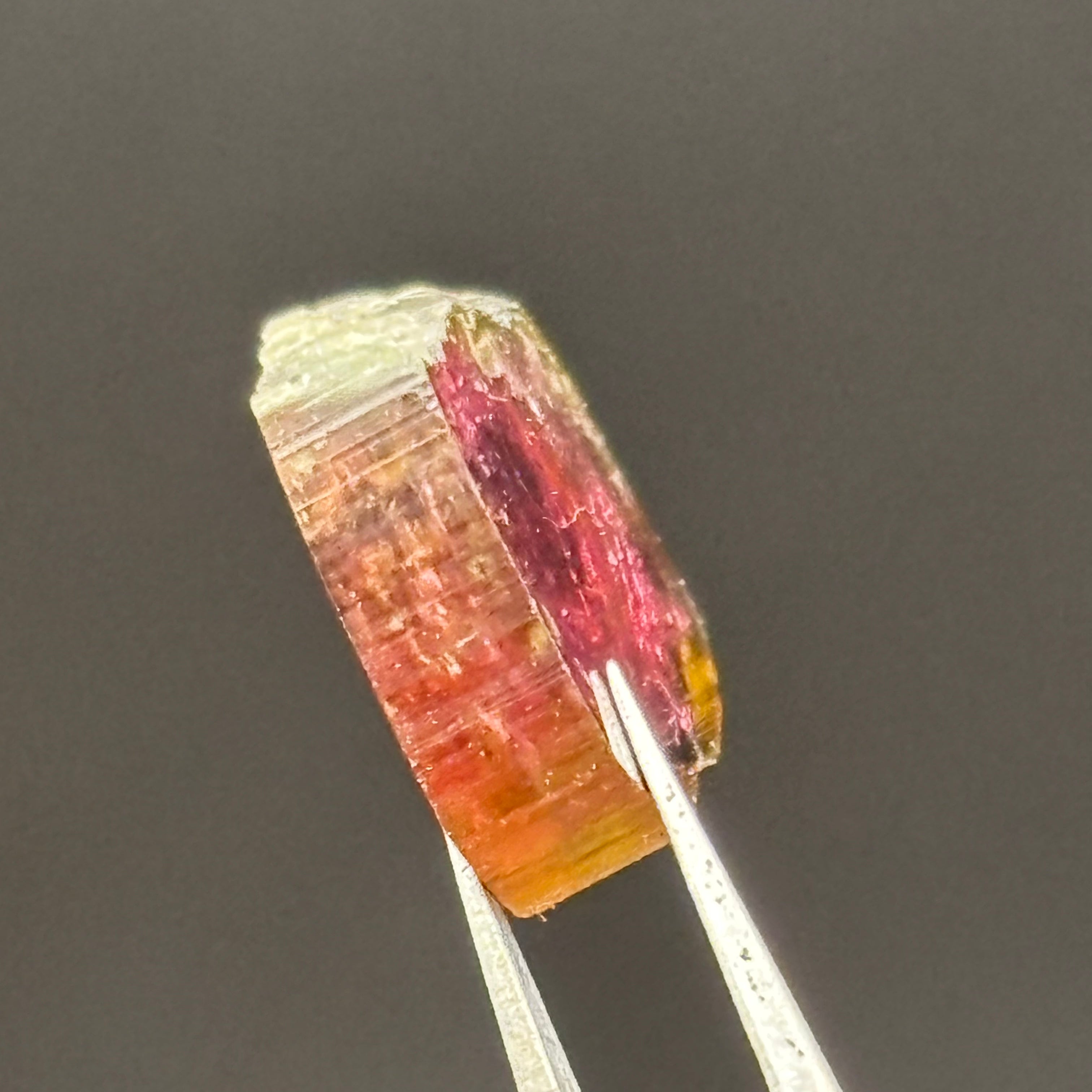 Watermelon Tourmaline Crystal Slice - 139