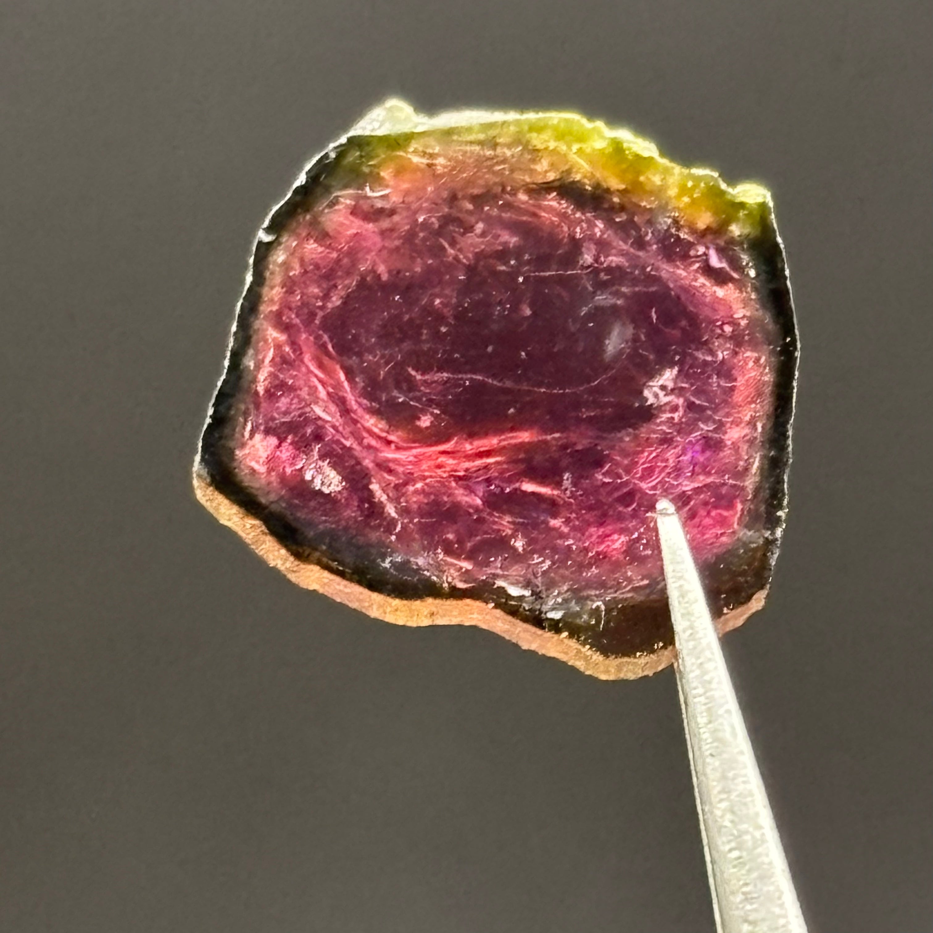 Watermelon Tourmaline Crystal Slice - 139