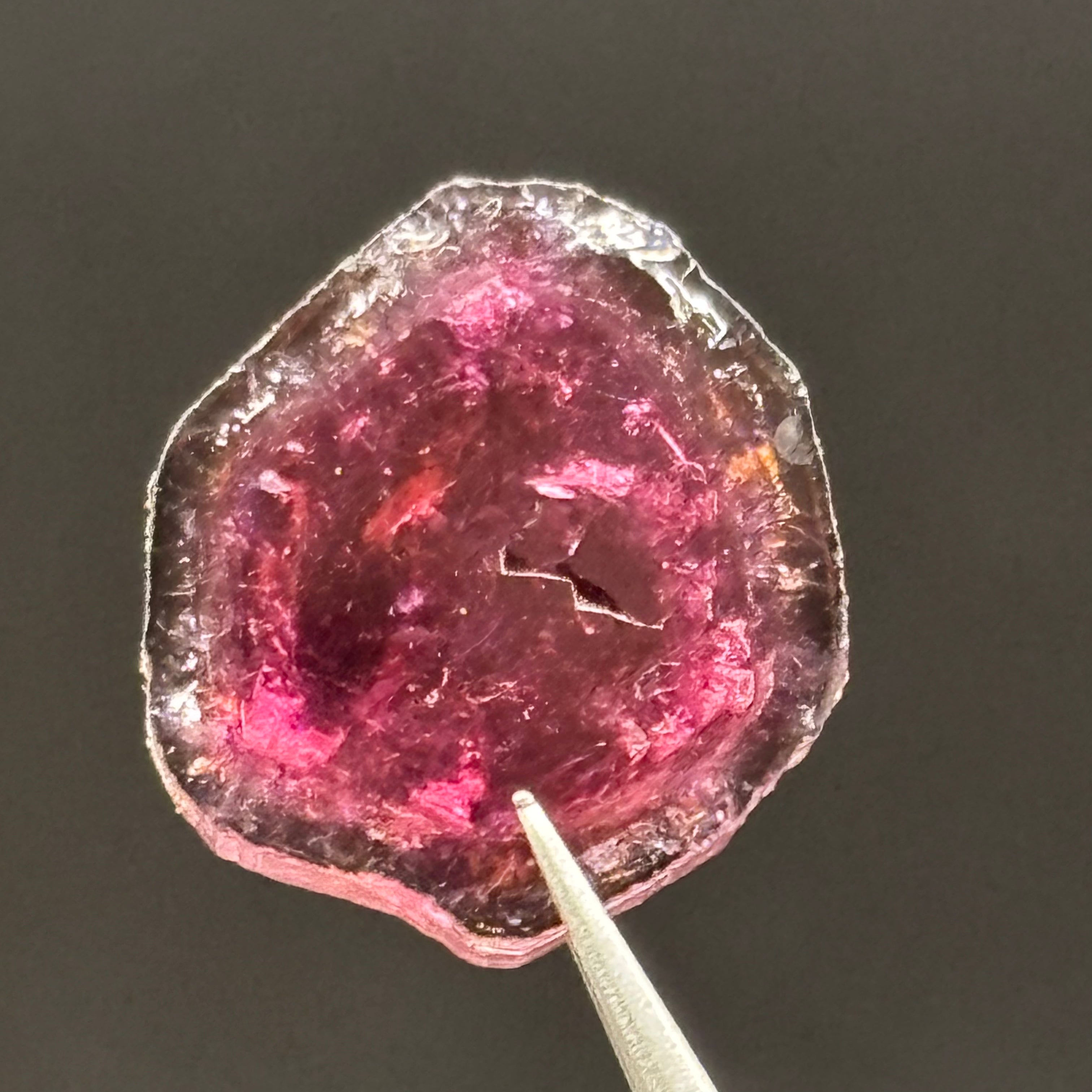 Watermelon Tourmaline Crystal Slice - 140