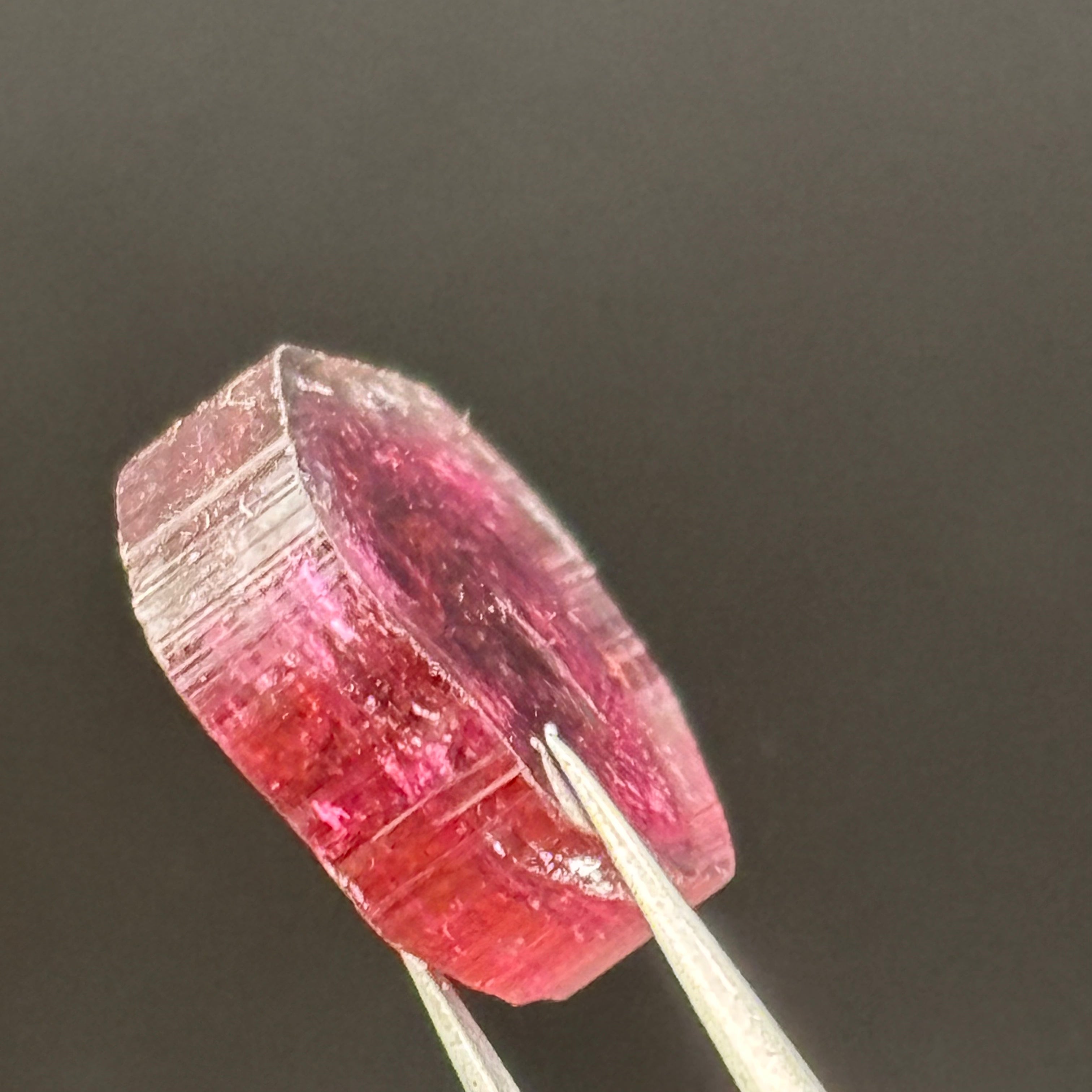 Watermelon Tourmaline Crystal Slice - 140