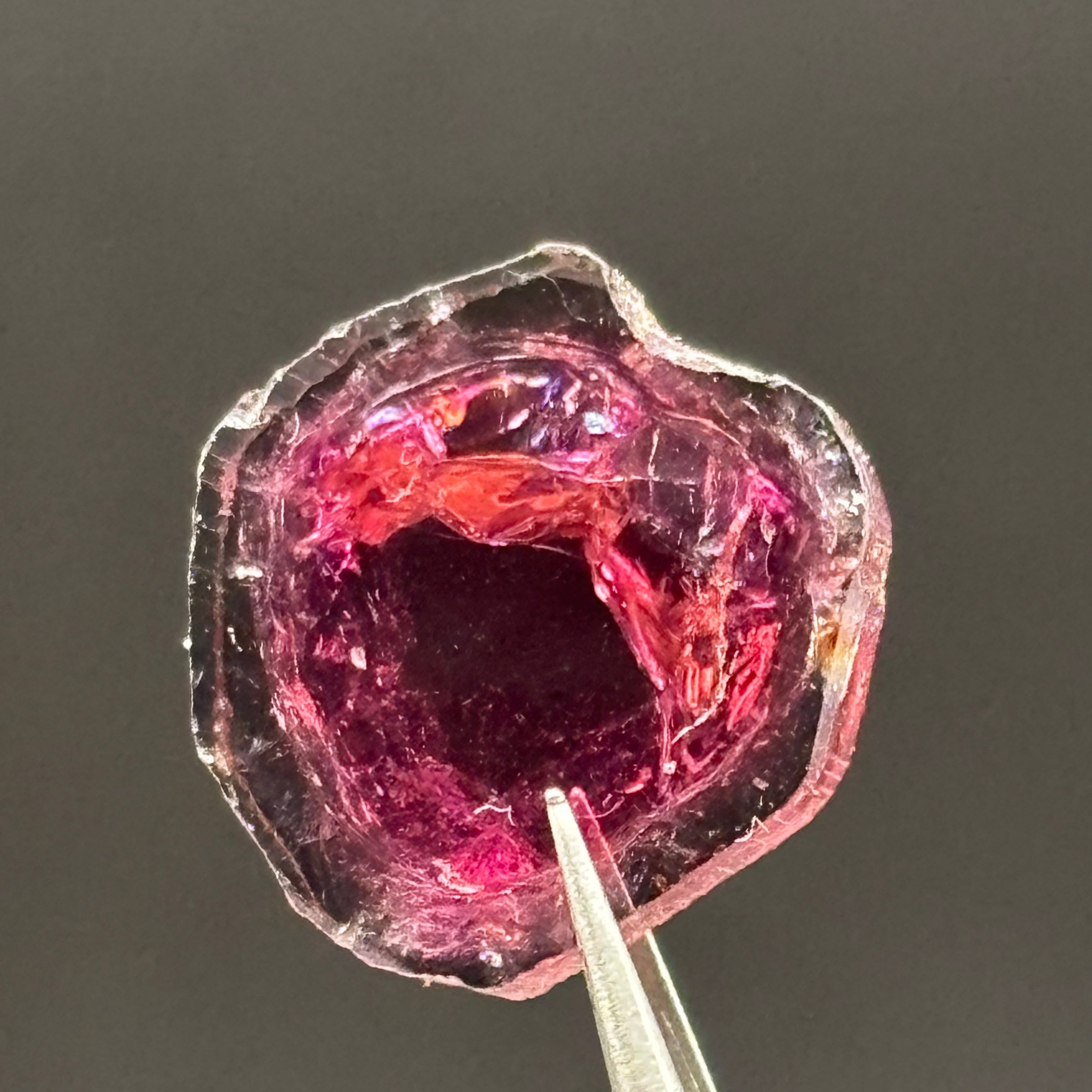 Watermelon Tourmaline Crystal Slice - 141
