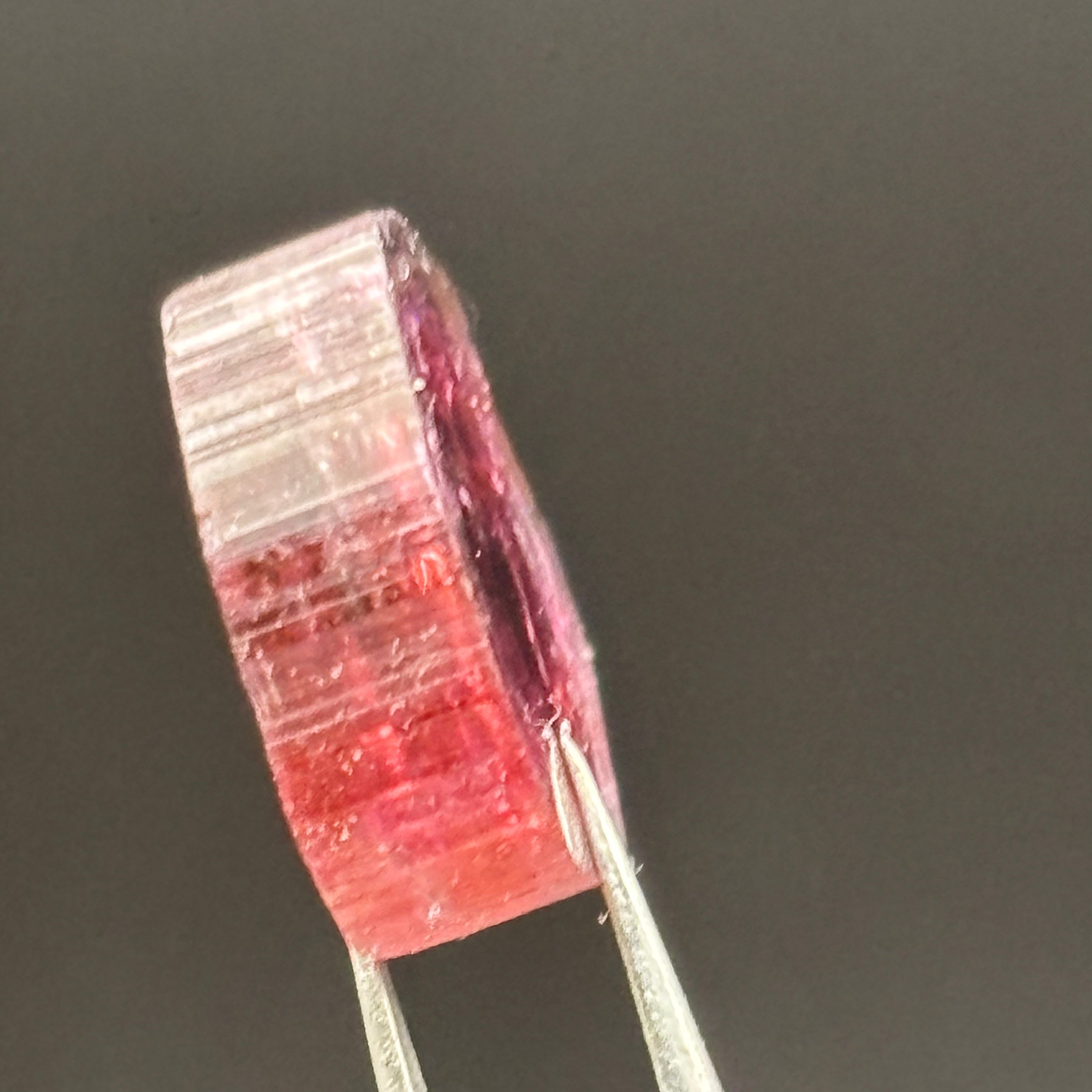 Watermelon Tourmaline Crystal Slice - 141