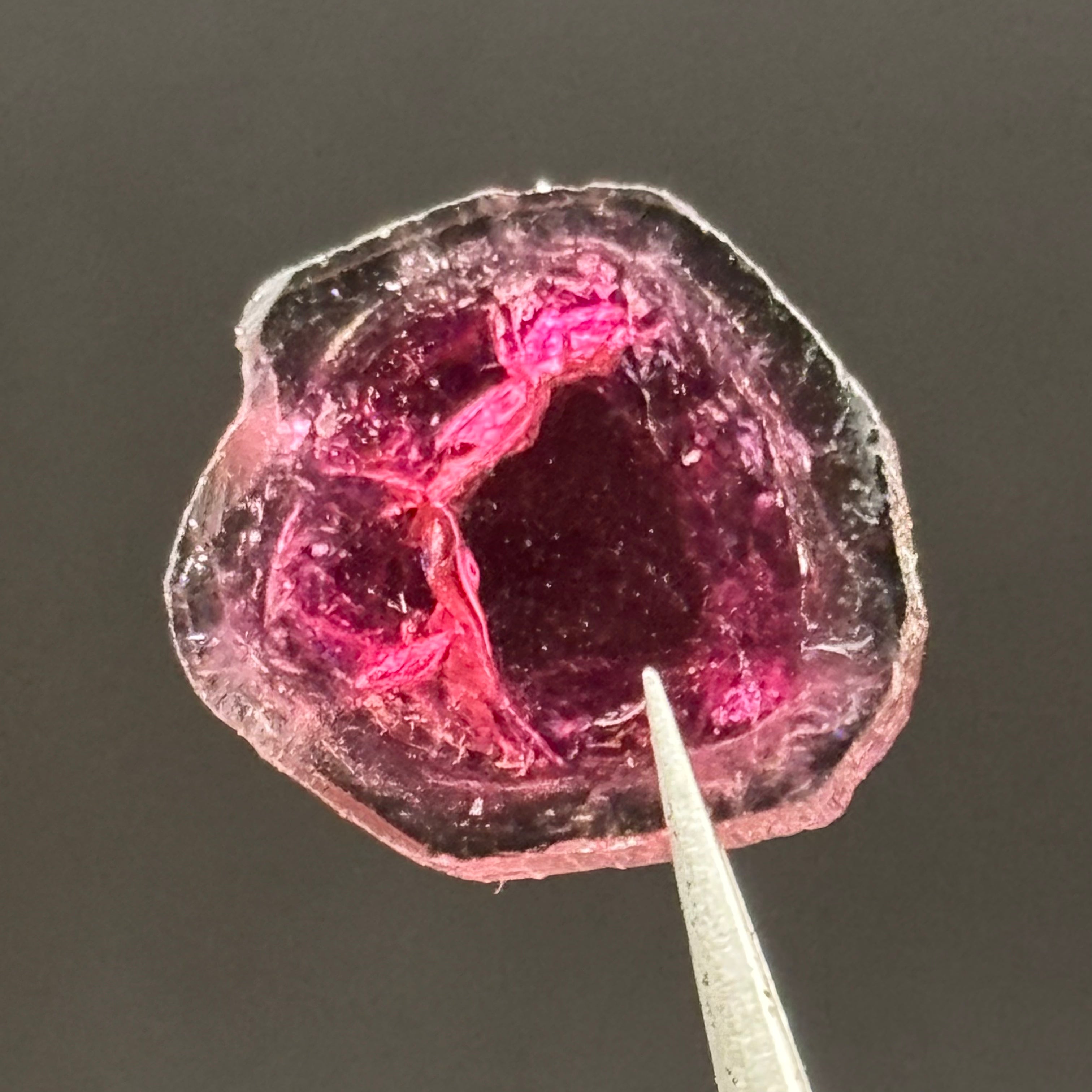 Watermelon Tourmaline Crystal Slice - 141