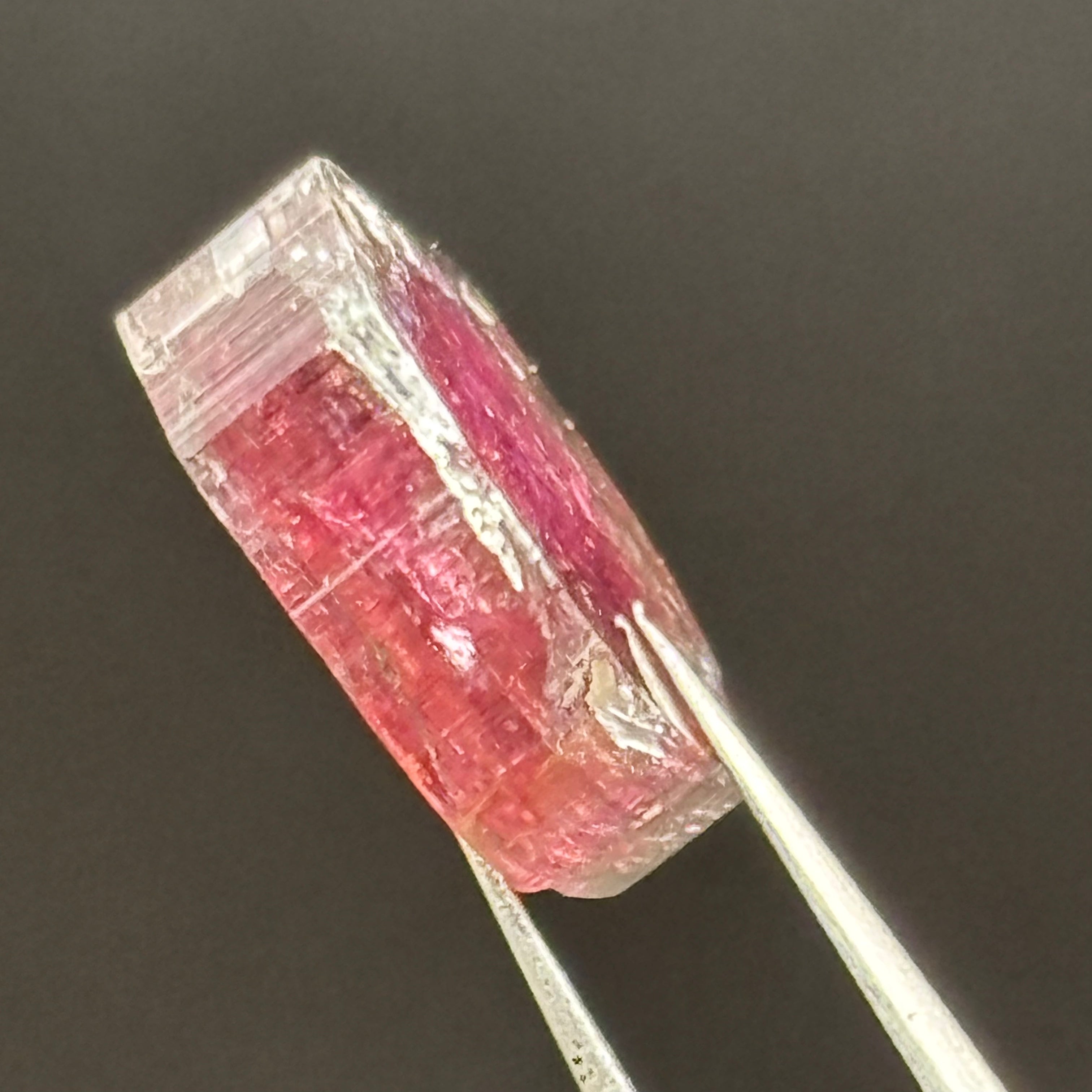 Watermelon Tourmaline Crystal Slice - 142