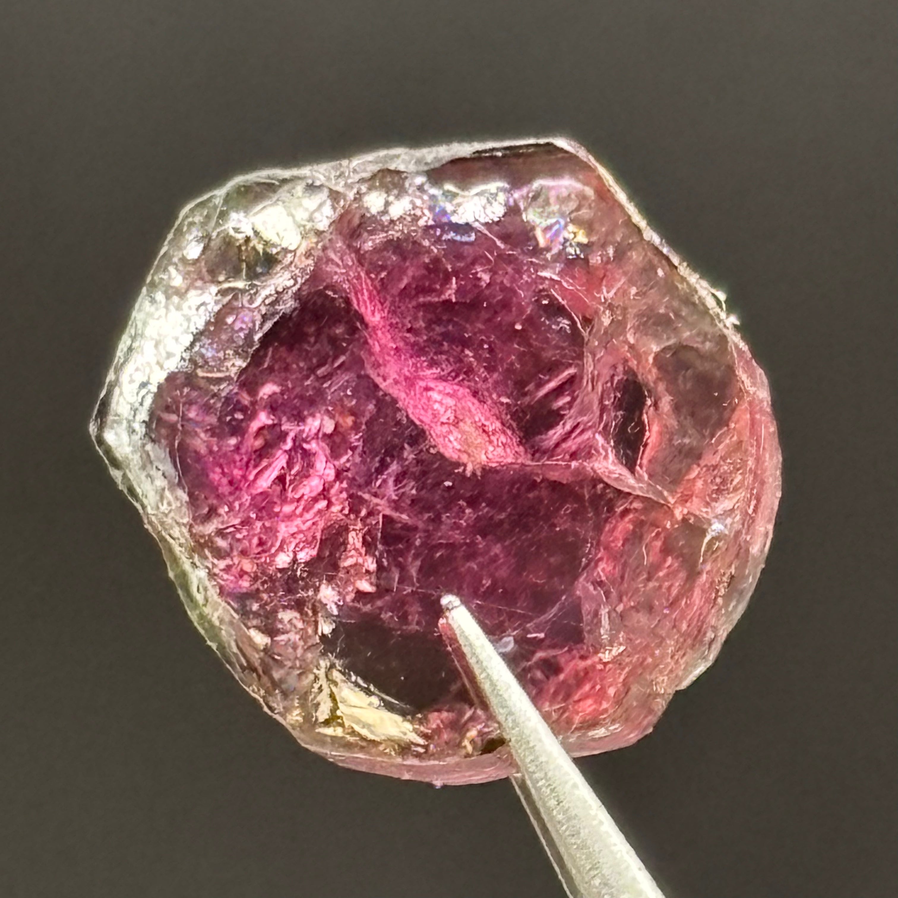 Watermelon Tourmaline Crystal Slice - 142