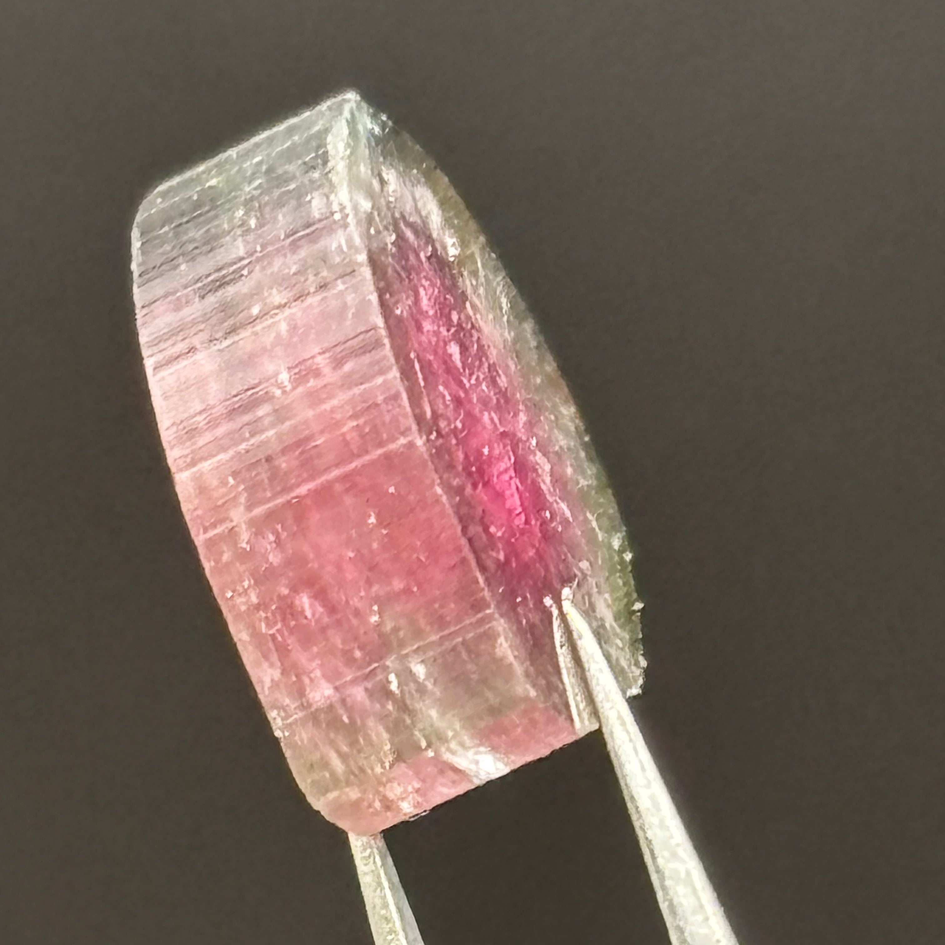 Watermelon Tourmaline Crystal Slice - 143