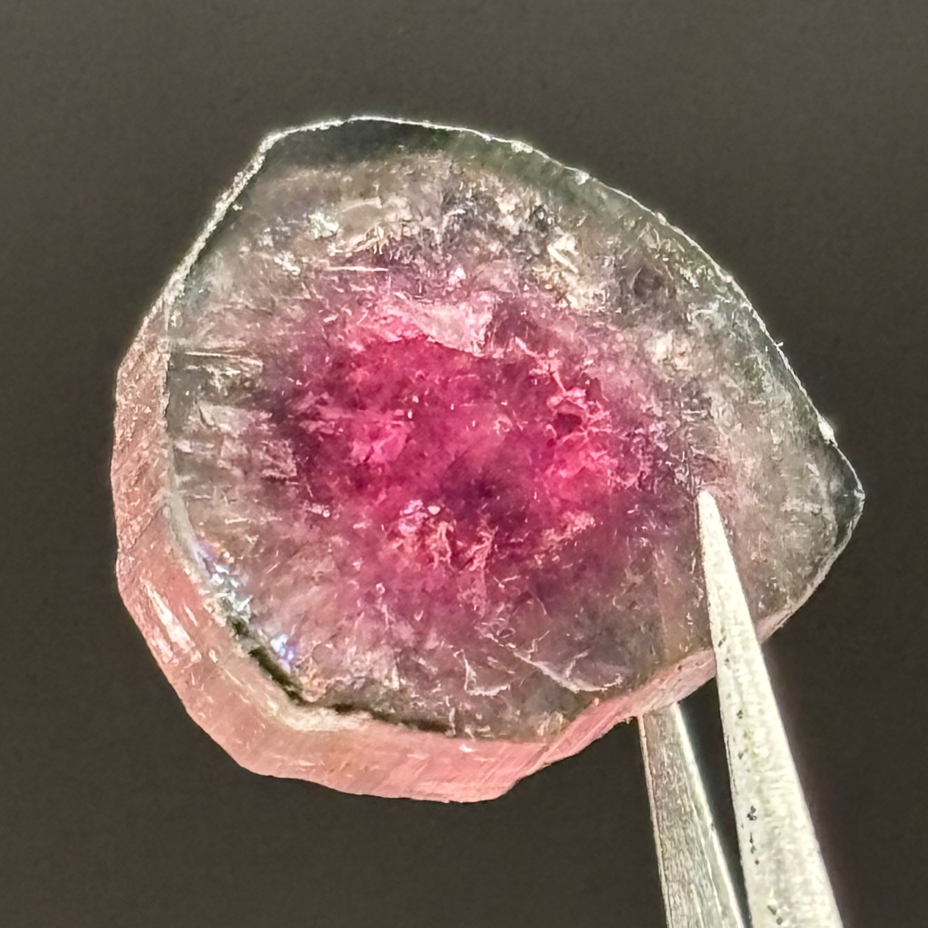 Watermelon Tourmaline Crystal Slice - 143