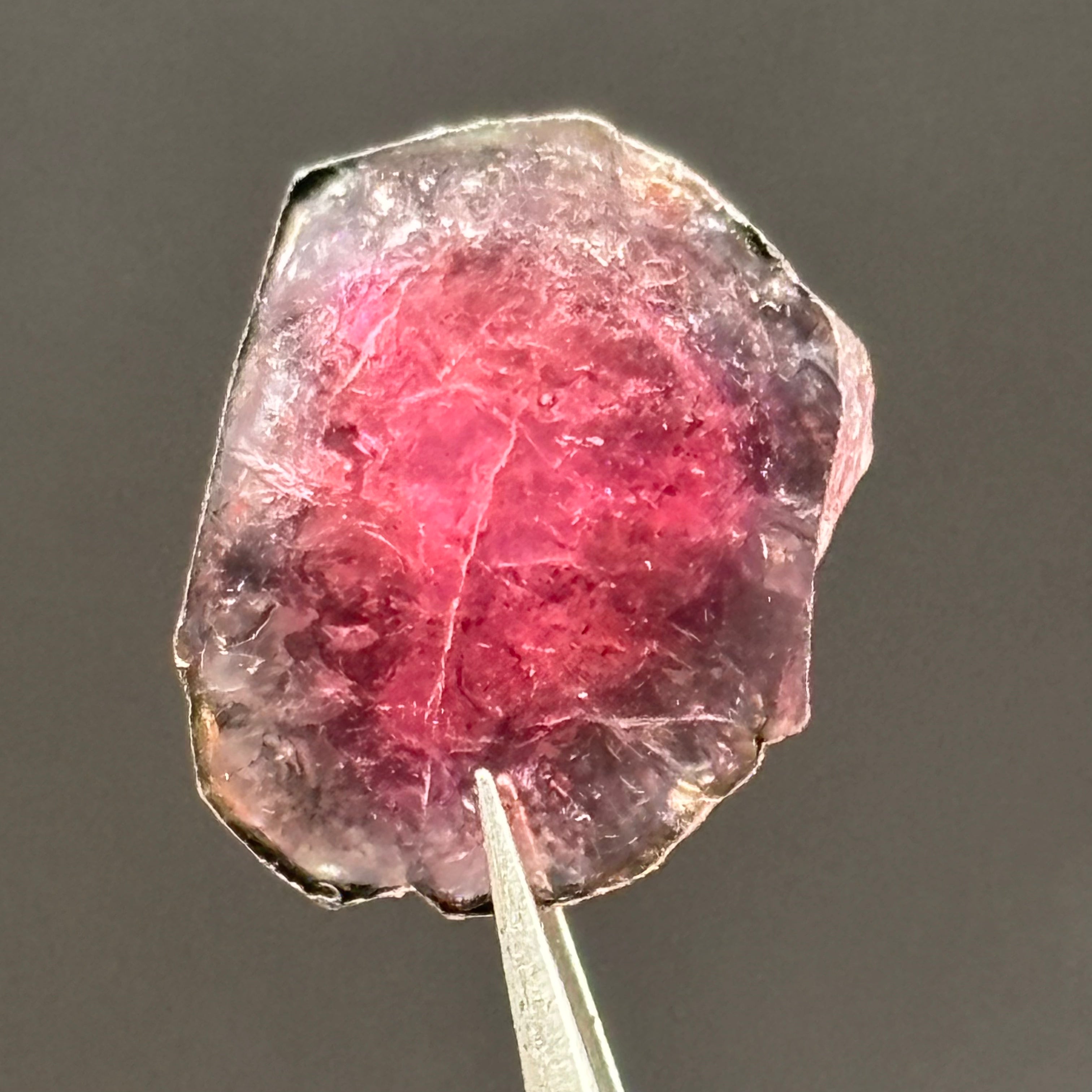 Watermelon Tourmaline Crystal Slice - 144