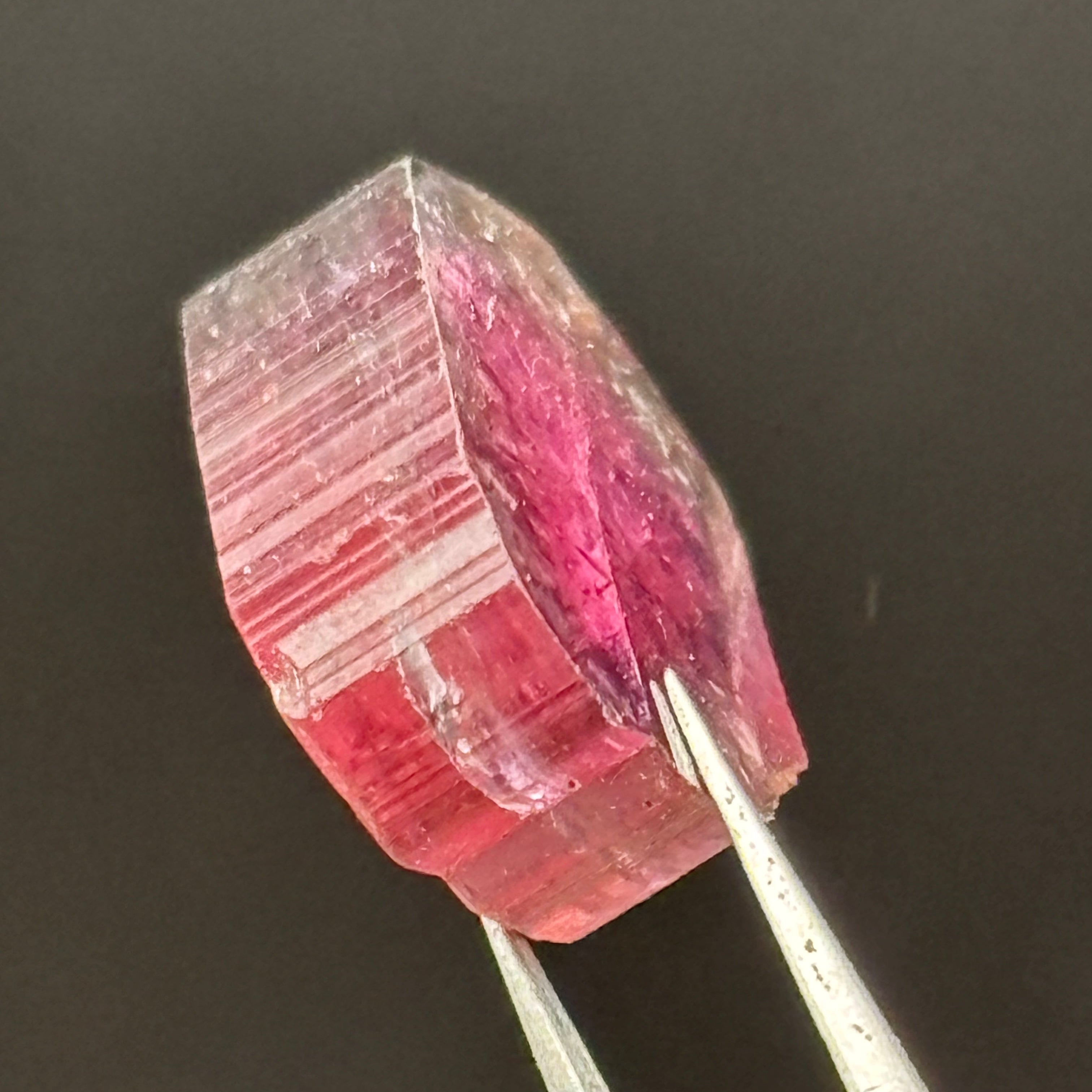 Watermelon Tourmaline Crystal Slice - 144