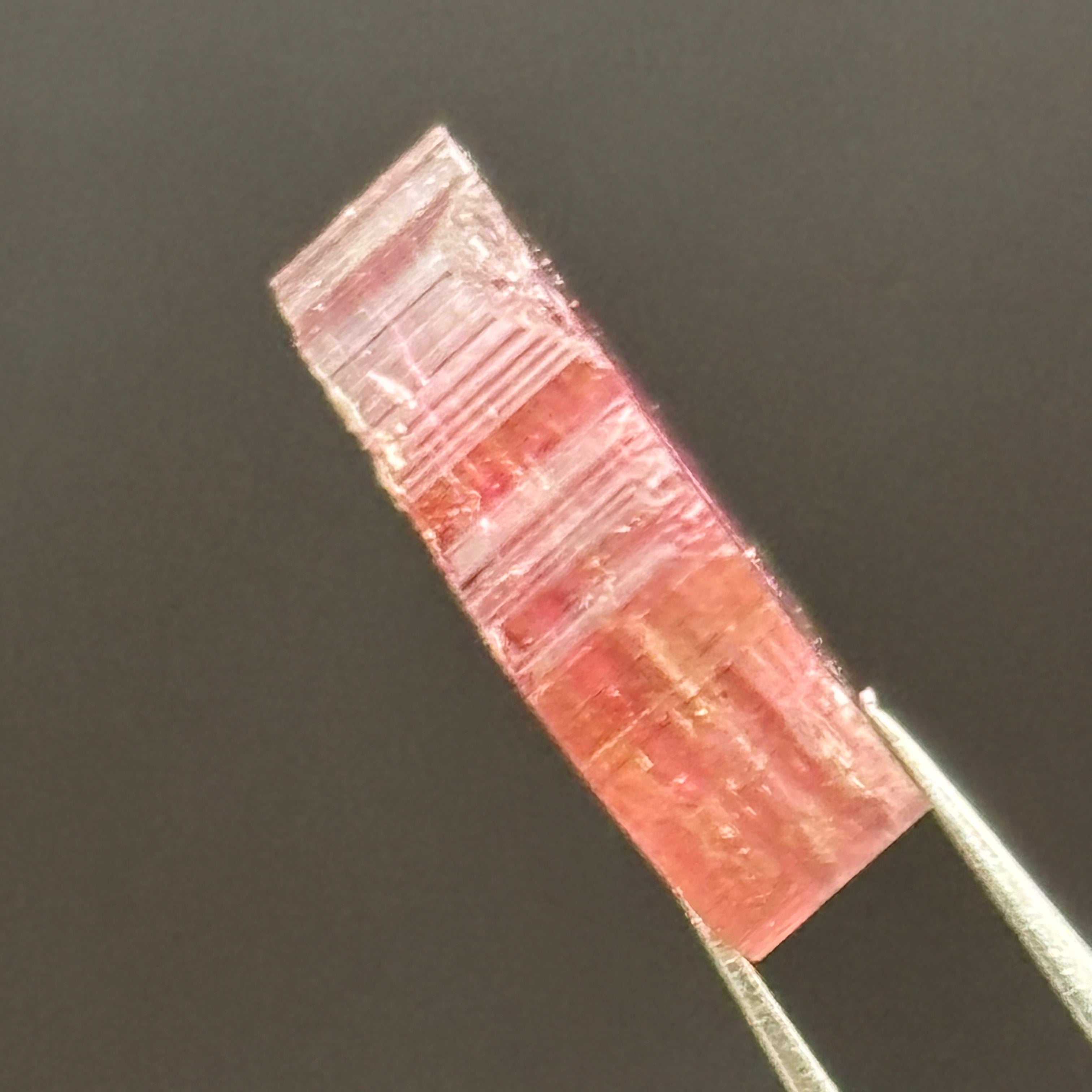 Watermelon Tourmaline Crystal Slice - 145