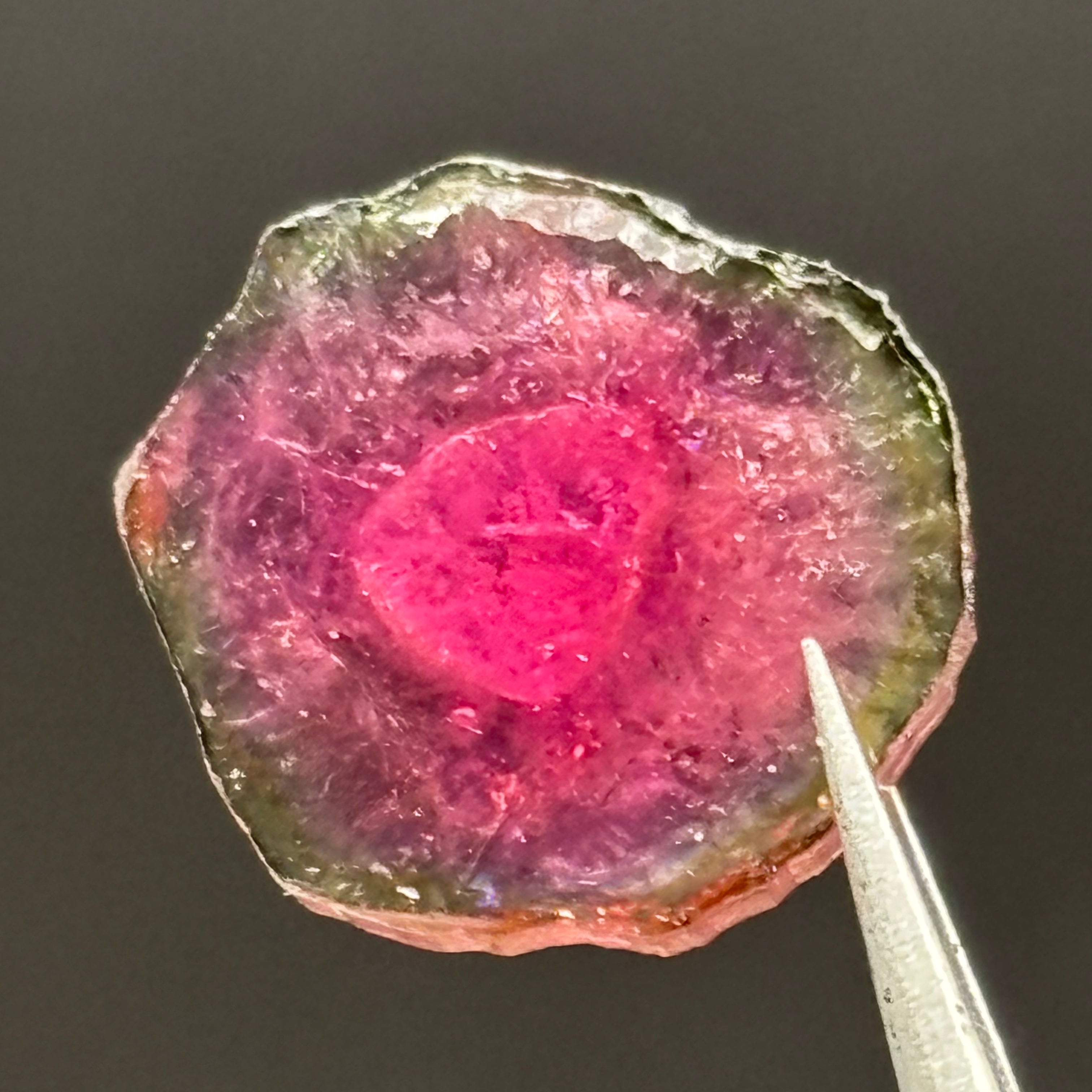 Watermelon Tourmaline Crystal Slice - 145