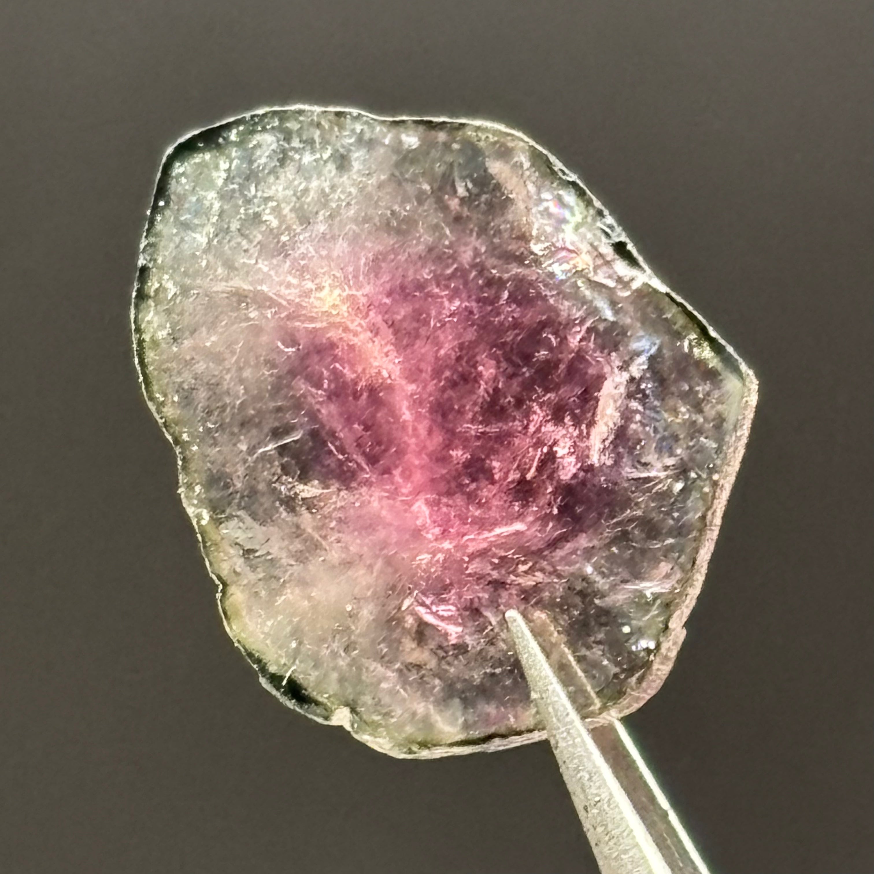 Watermelon Tourmaline Crystal Slice - 146