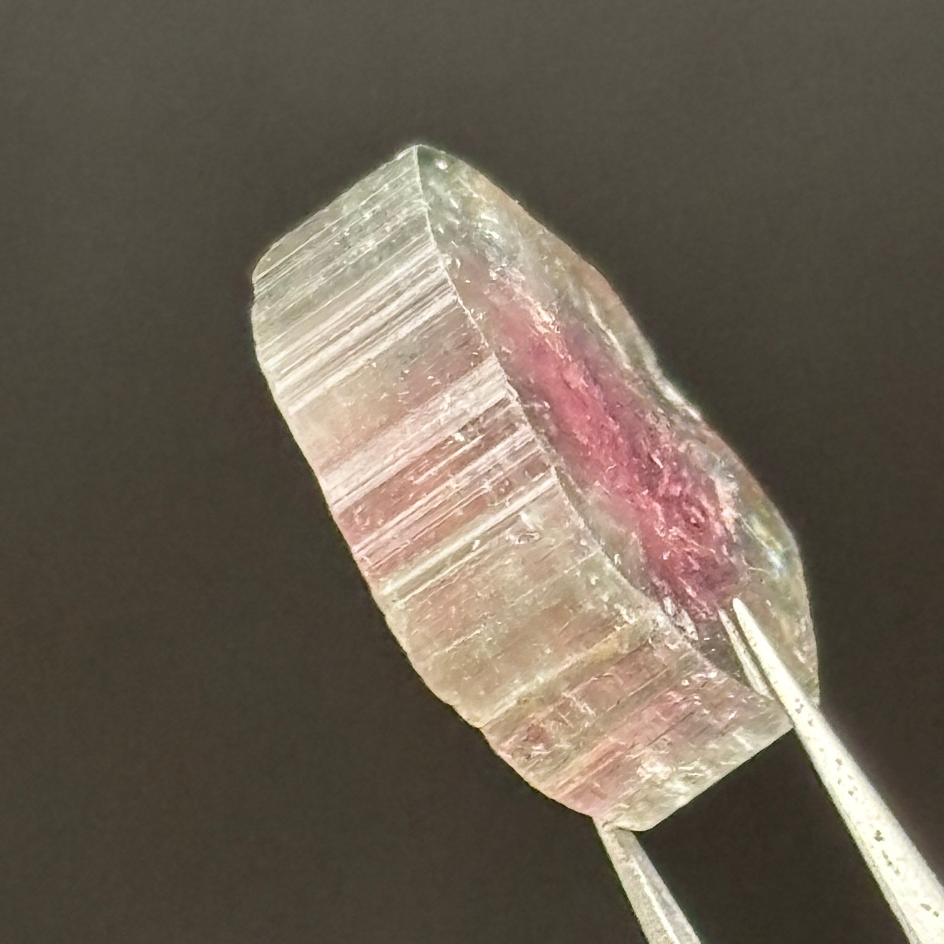 Watermelon Tourmaline Crystal Slice - 146