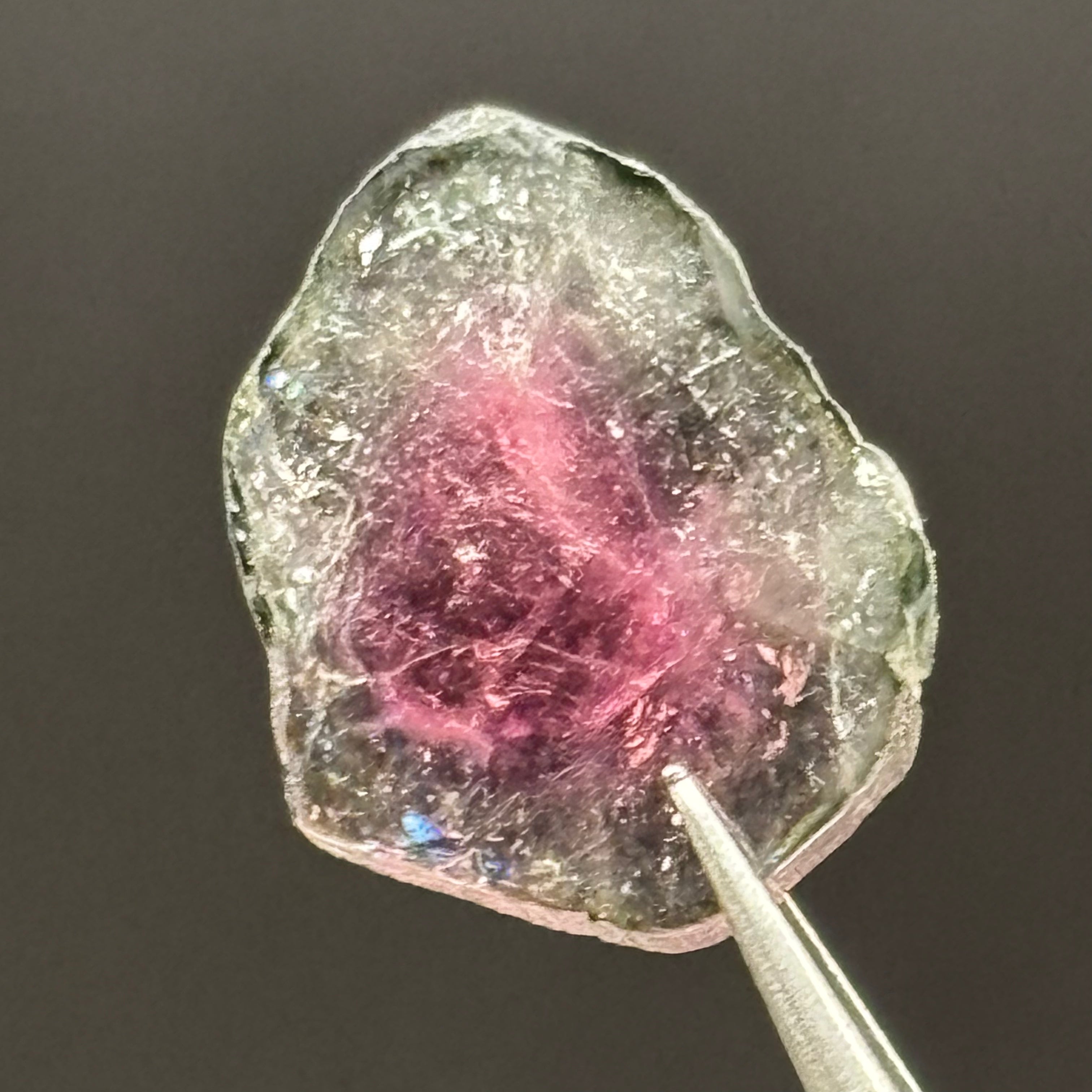 Watermelon Tourmaline Crystal Slice - 146