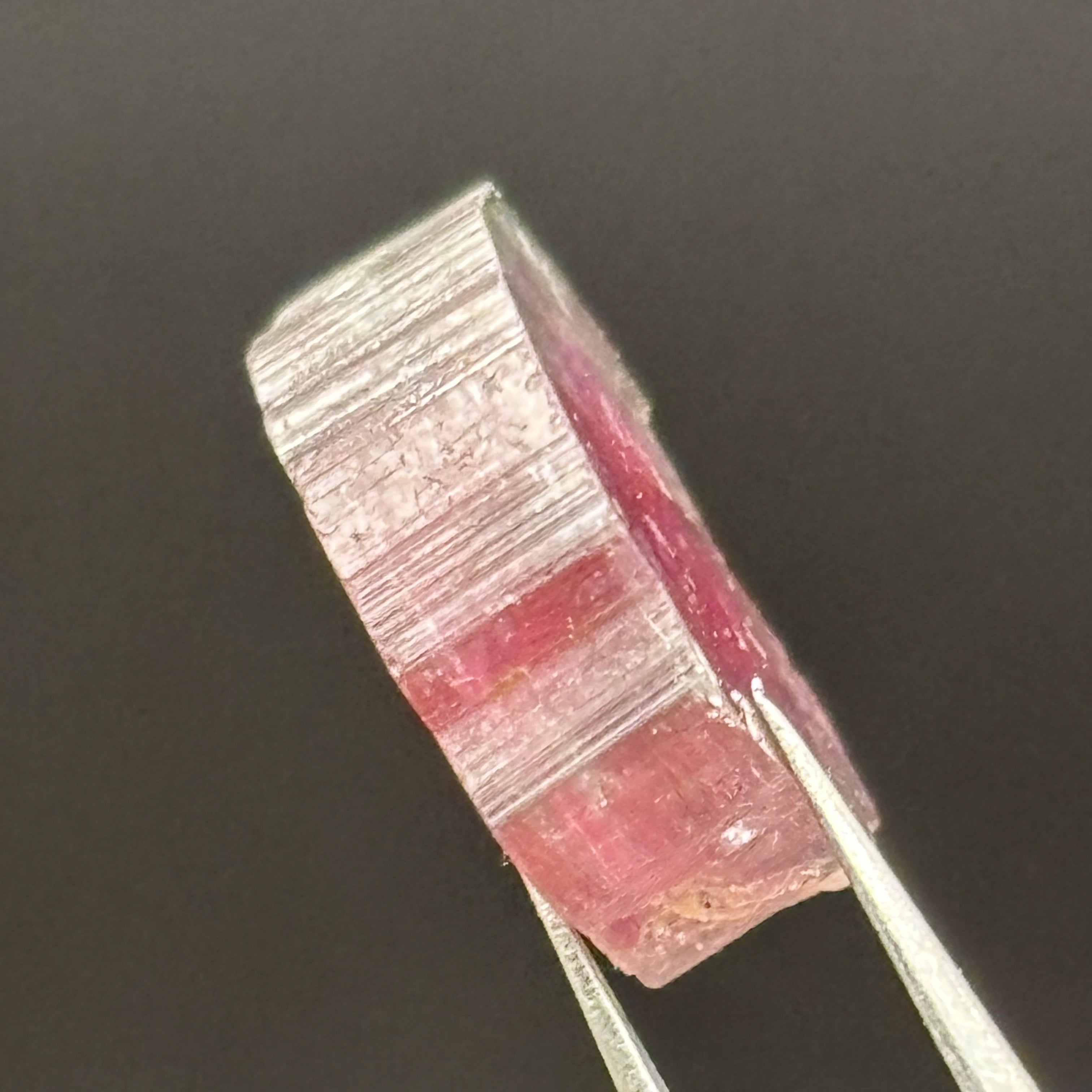 Watermelon Tourmaline Crystal Slice - 147