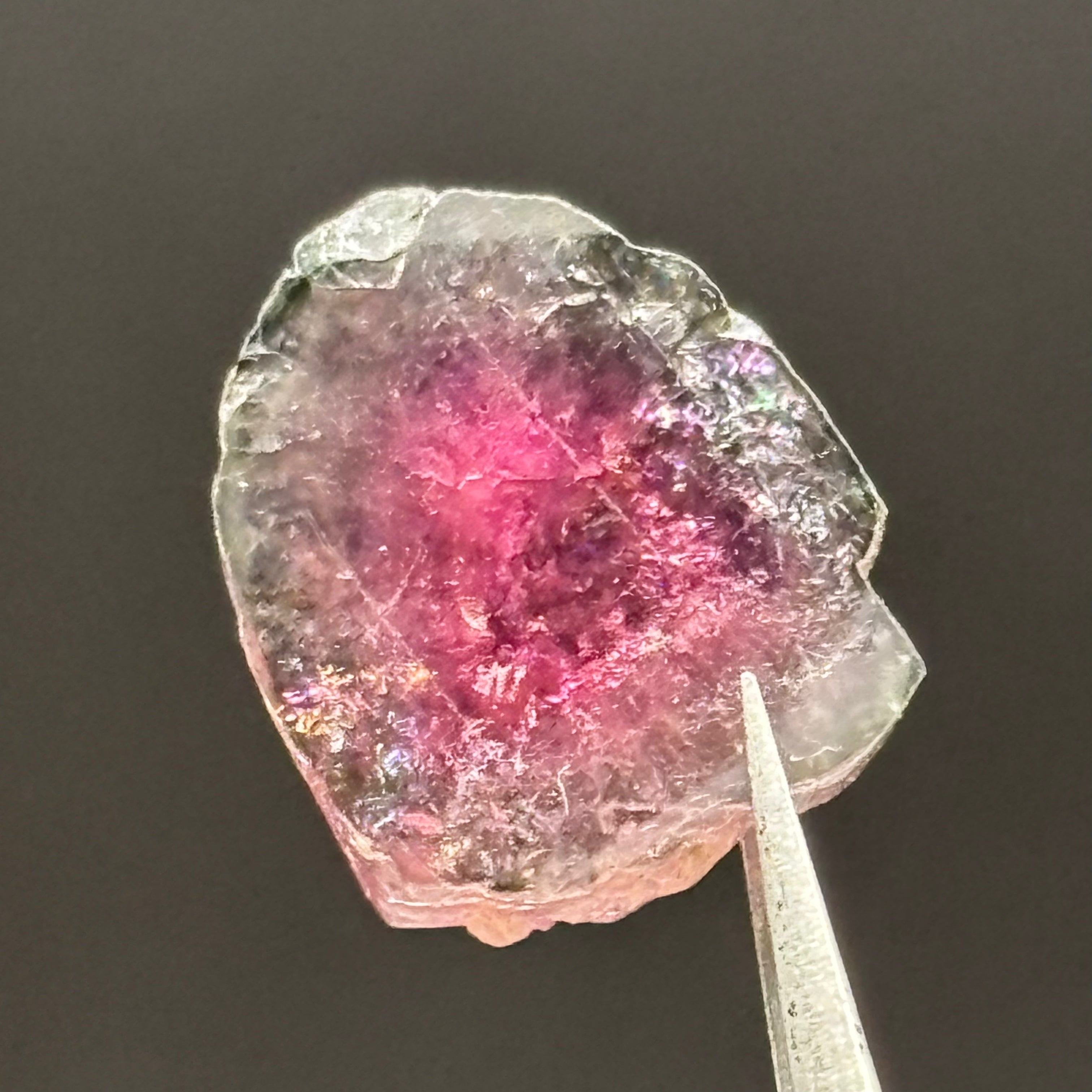Watermelon Tourmaline Crystal Slice - 147