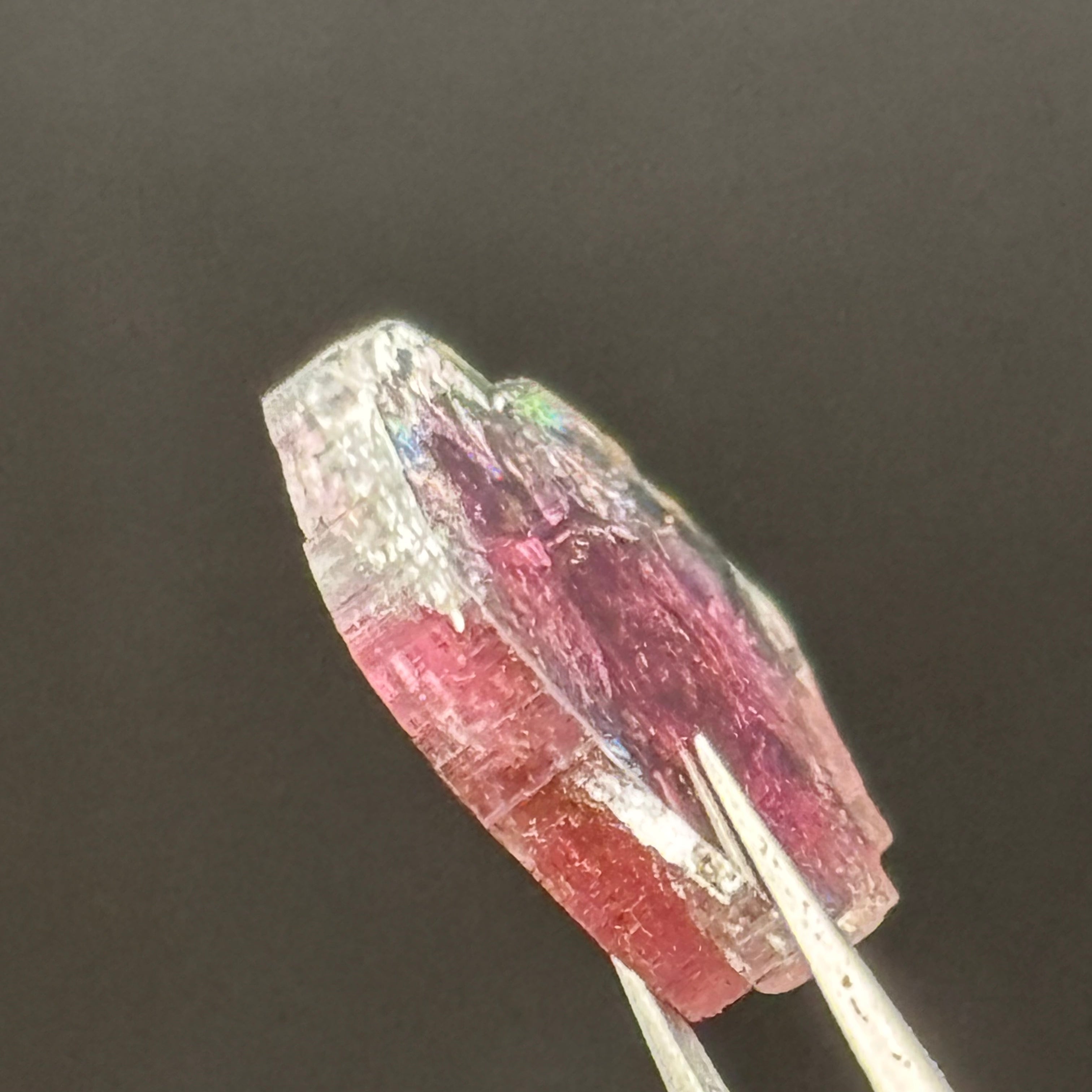 Watermelon Tourmaline Crystal Slice - 148