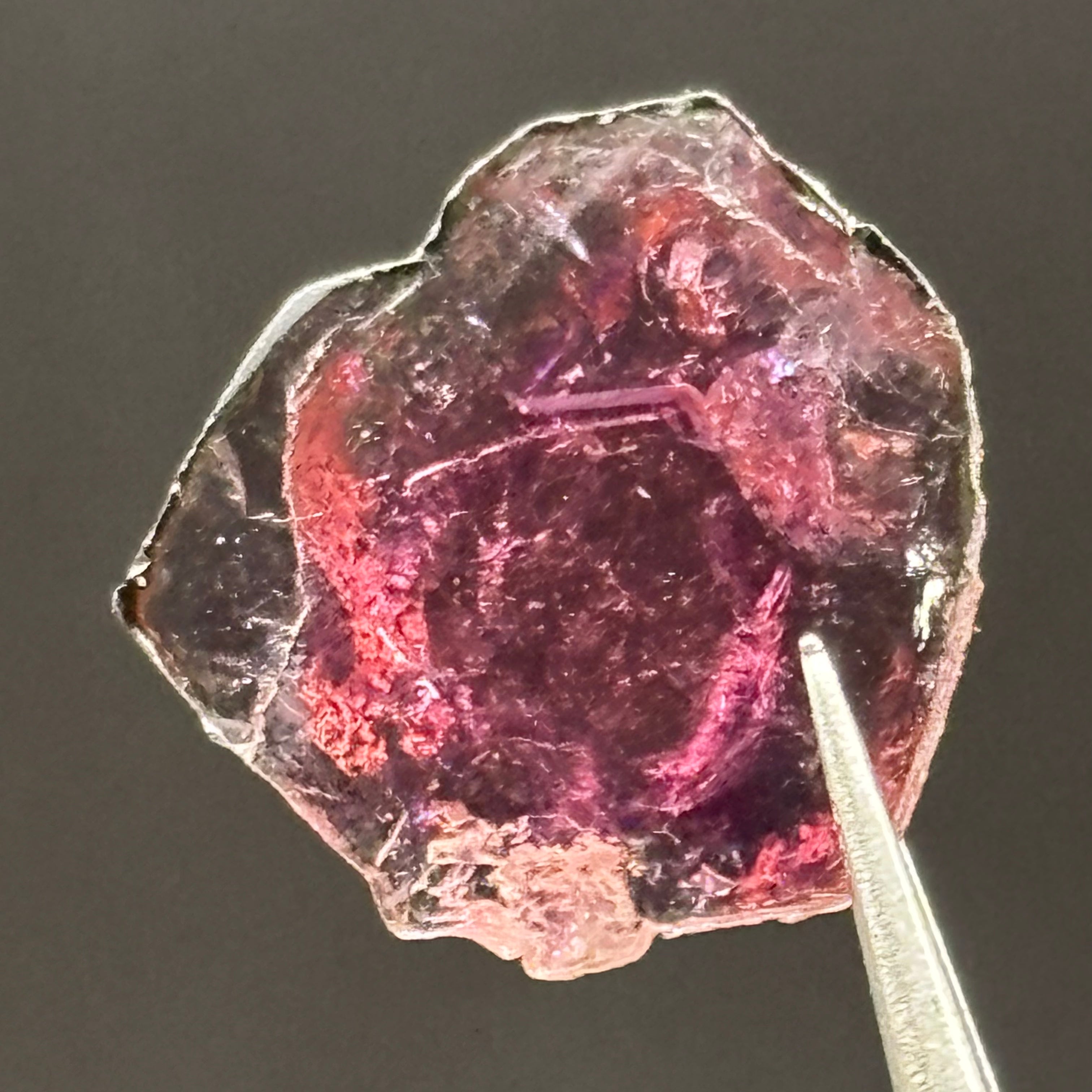 Watermelon Tourmaline Crystal Slice - 148