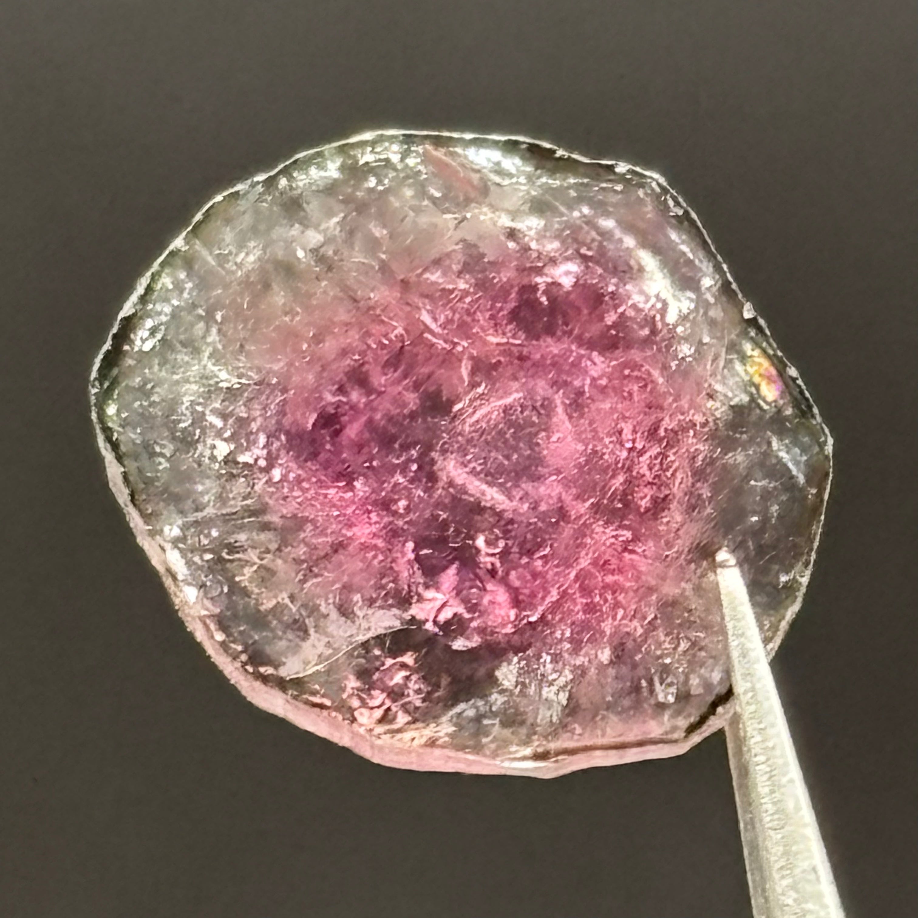 Watermelon Tourmaline Crystal Slice - 149