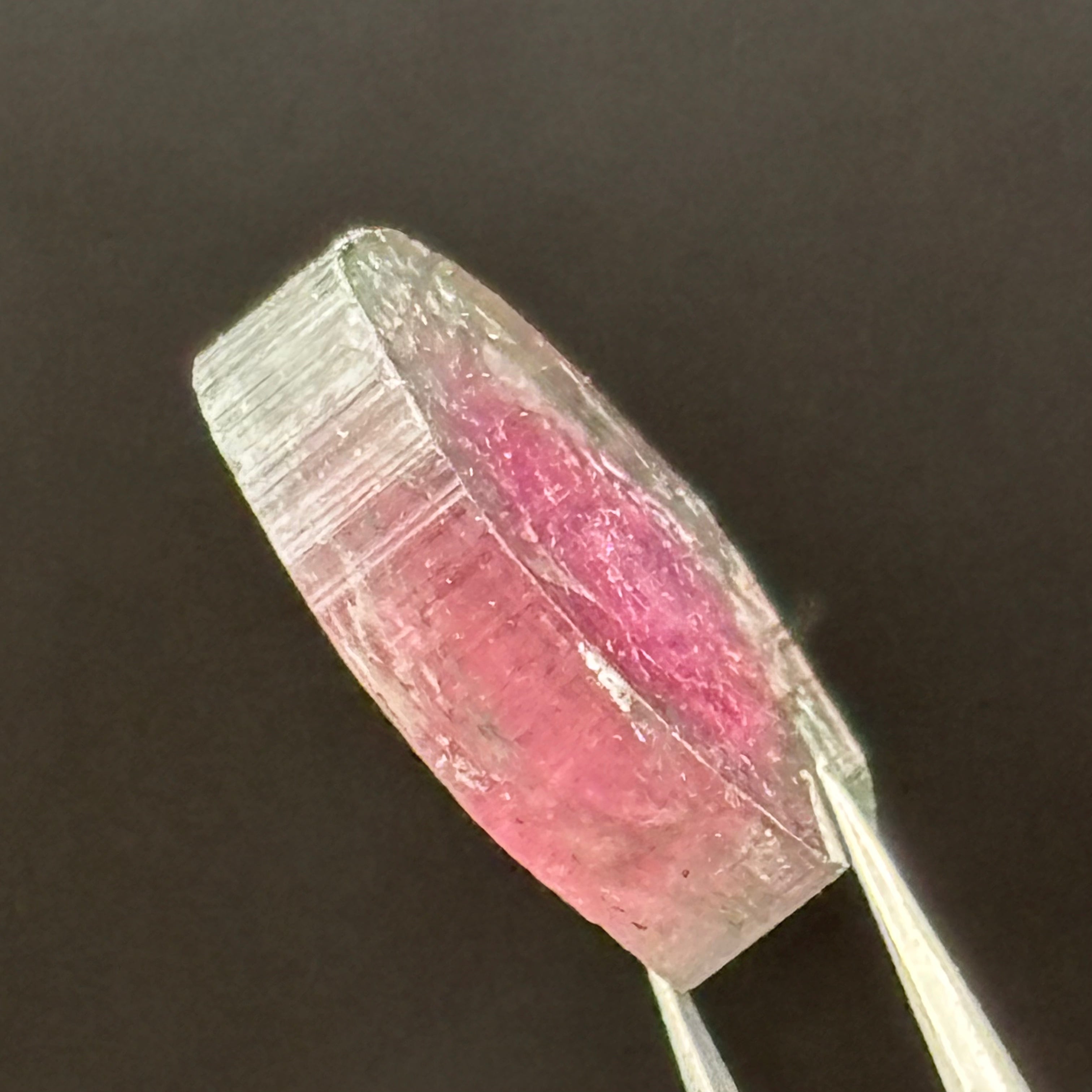 Watermelon Tourmaline Crystal Slice - 149