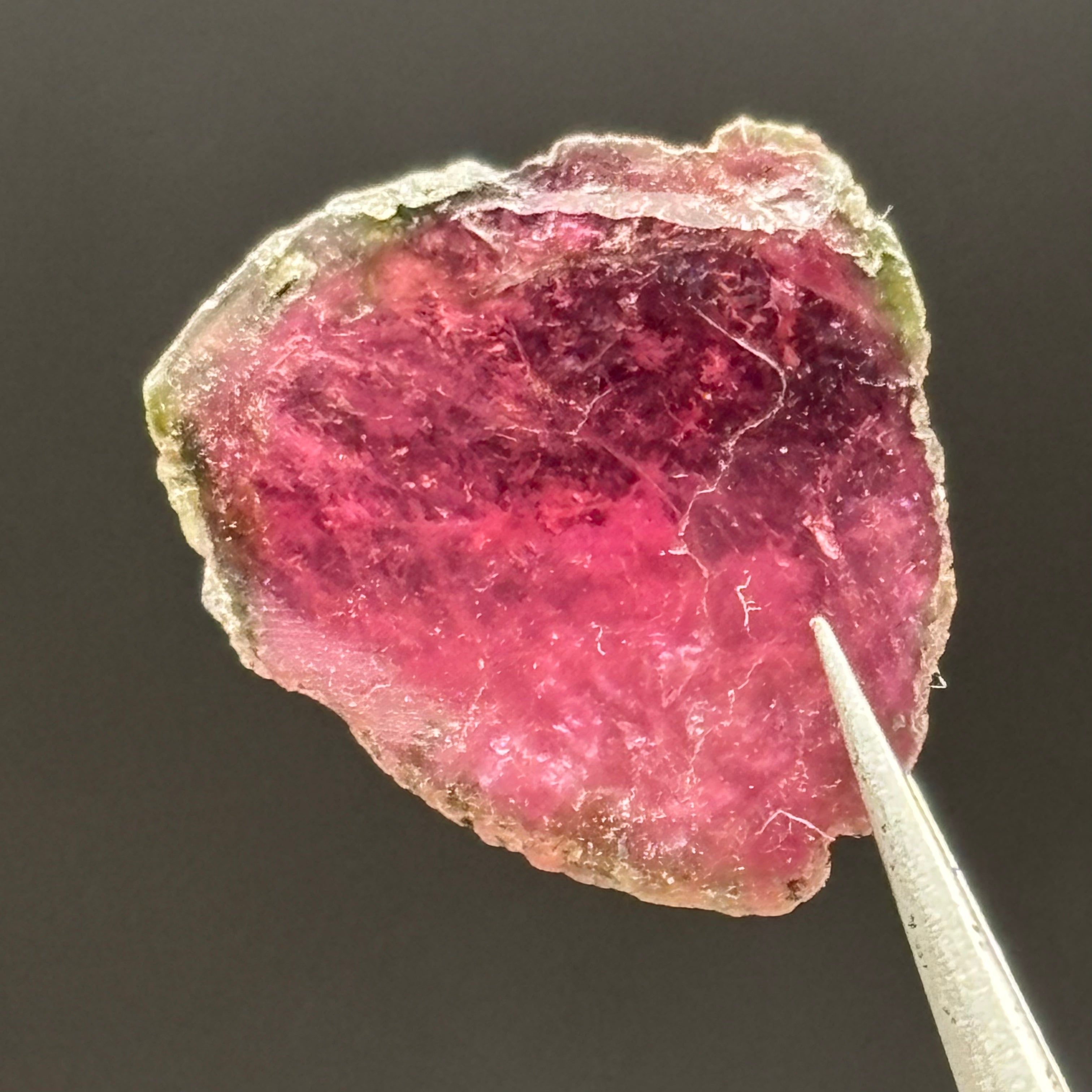 Watermelon Tourmaline Crystal Slice - 151