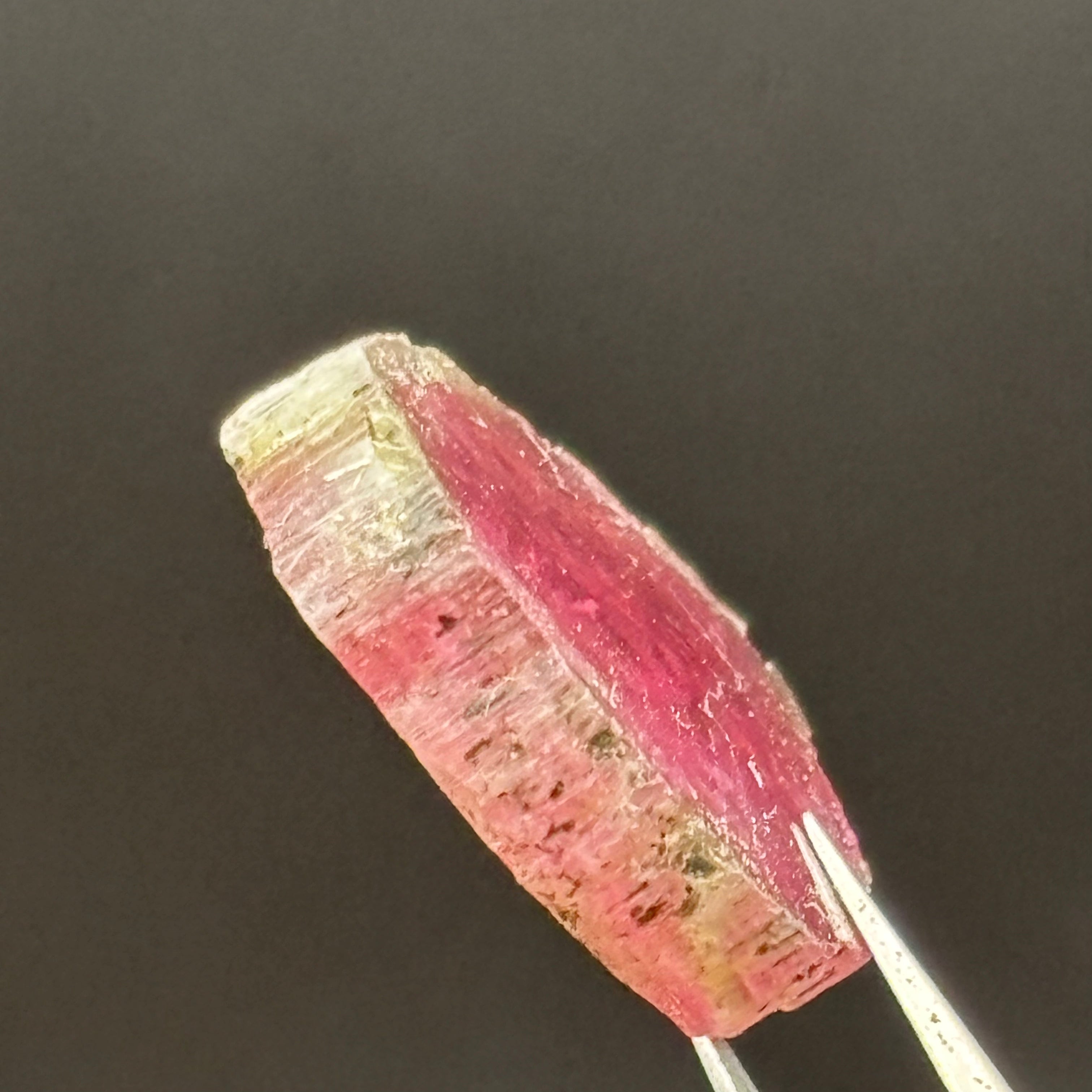 Watermelon Tourmaline Crystal Slice - 151