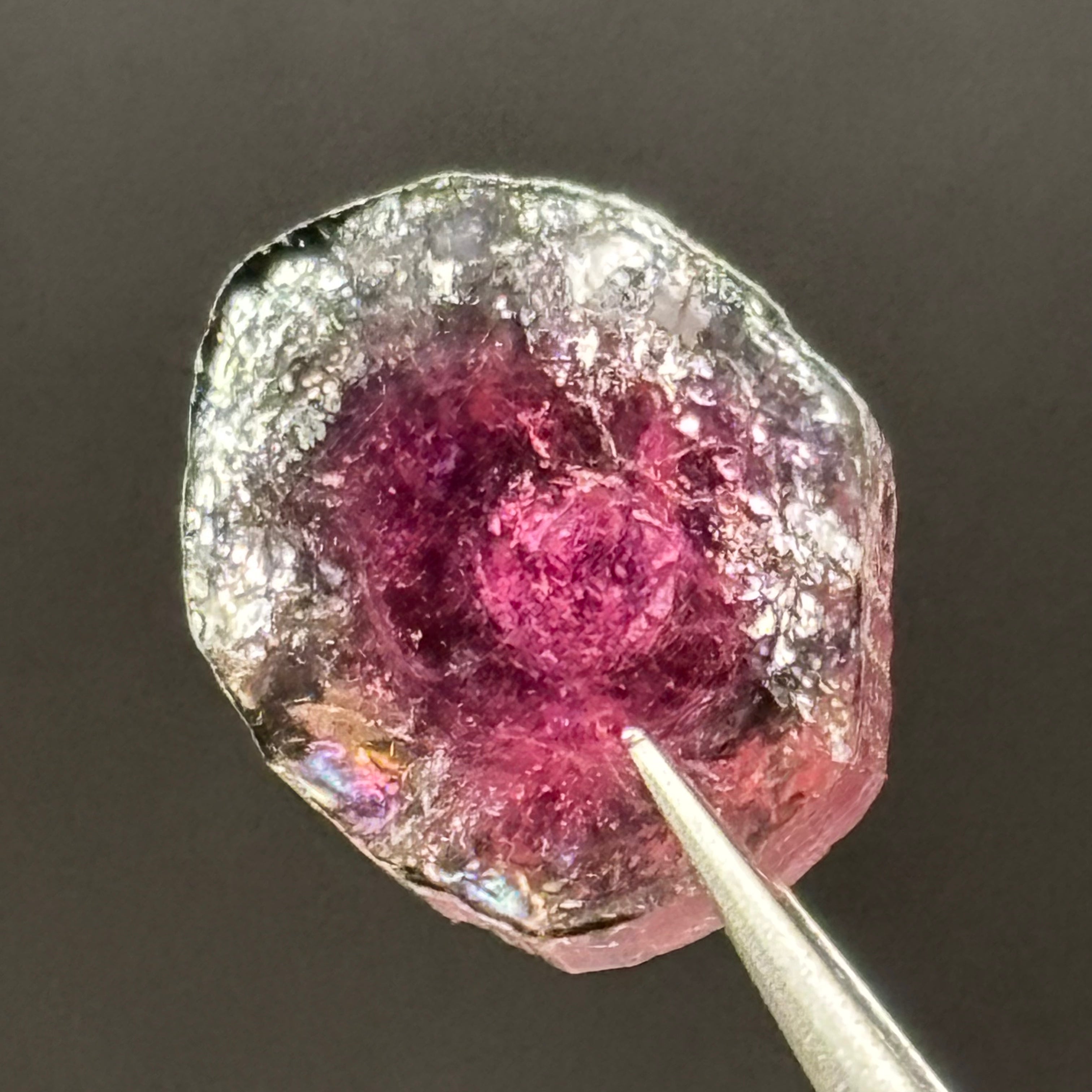 Watermelon Tourmaline Crystal Slice - 152