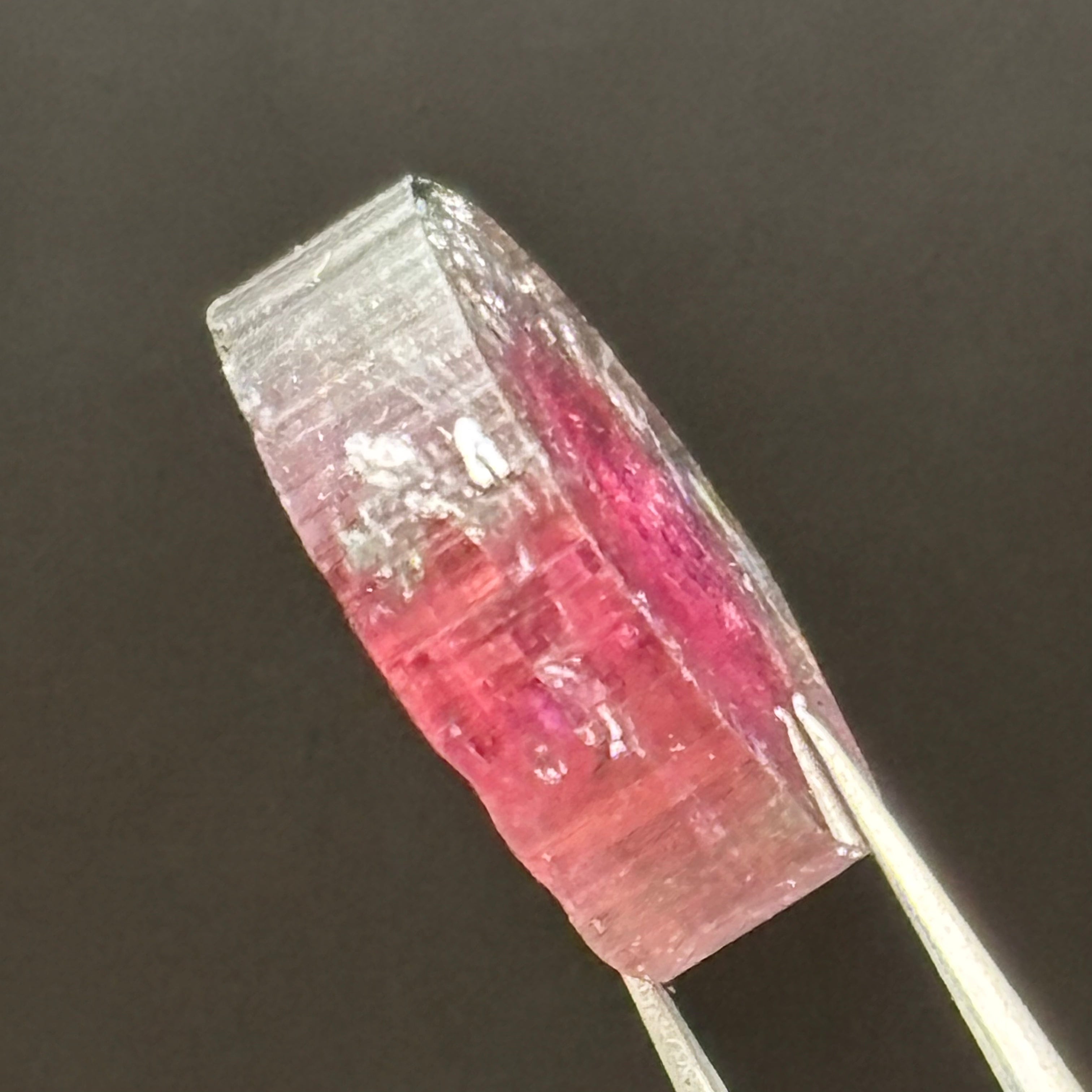 Watermelon Tourmaline Crystal Slice - 152