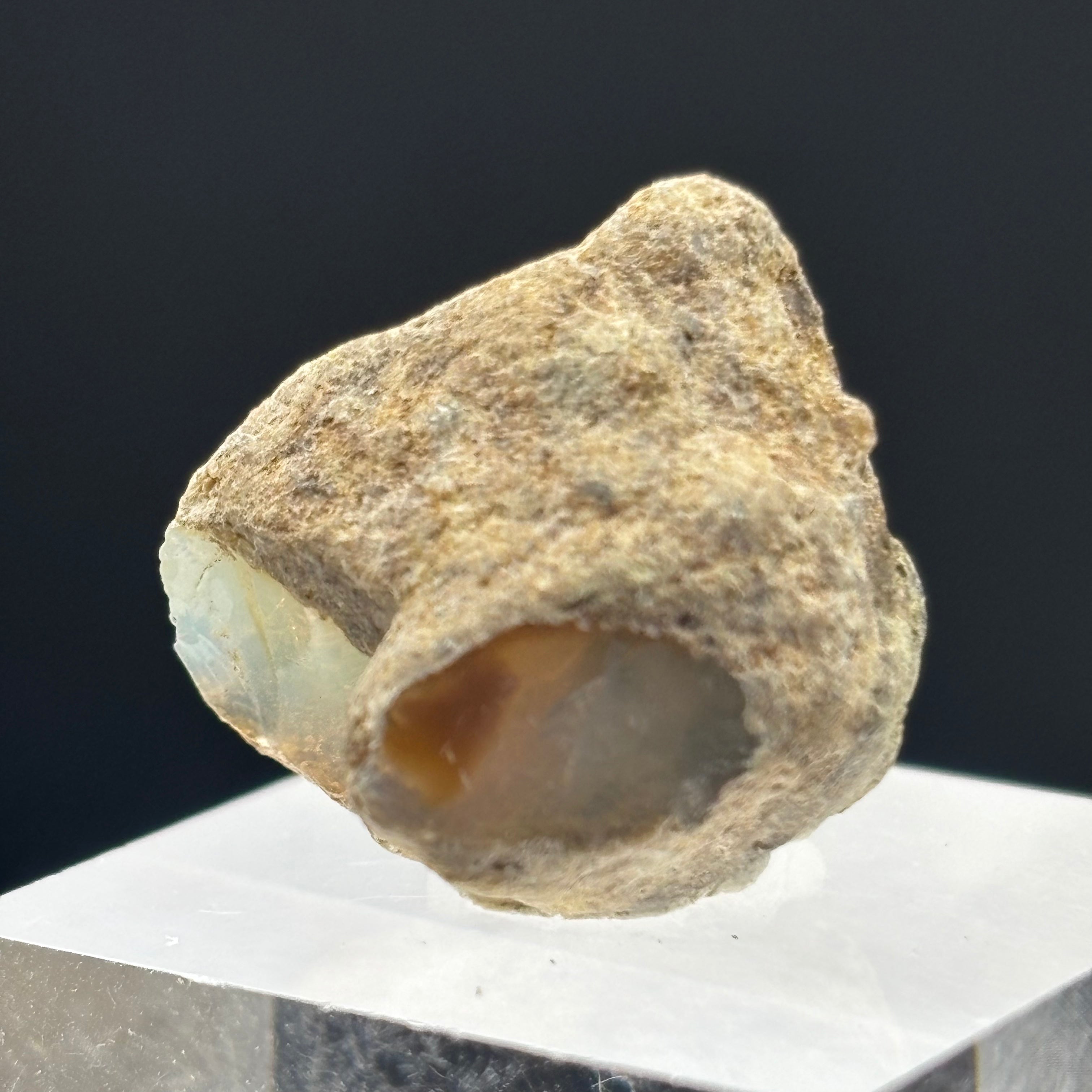 Welo Opal - 215