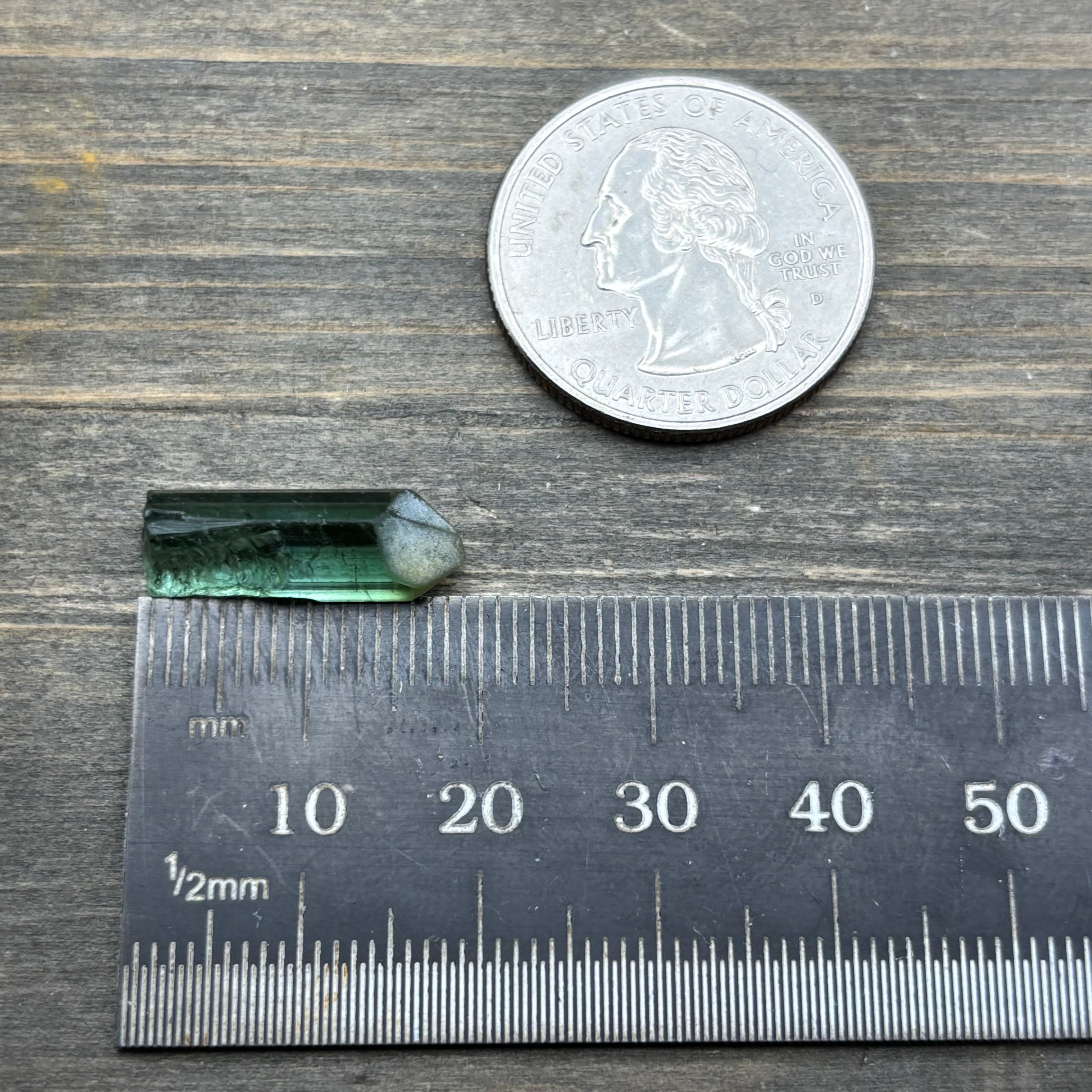 Green Tourmaline Crystal - 105