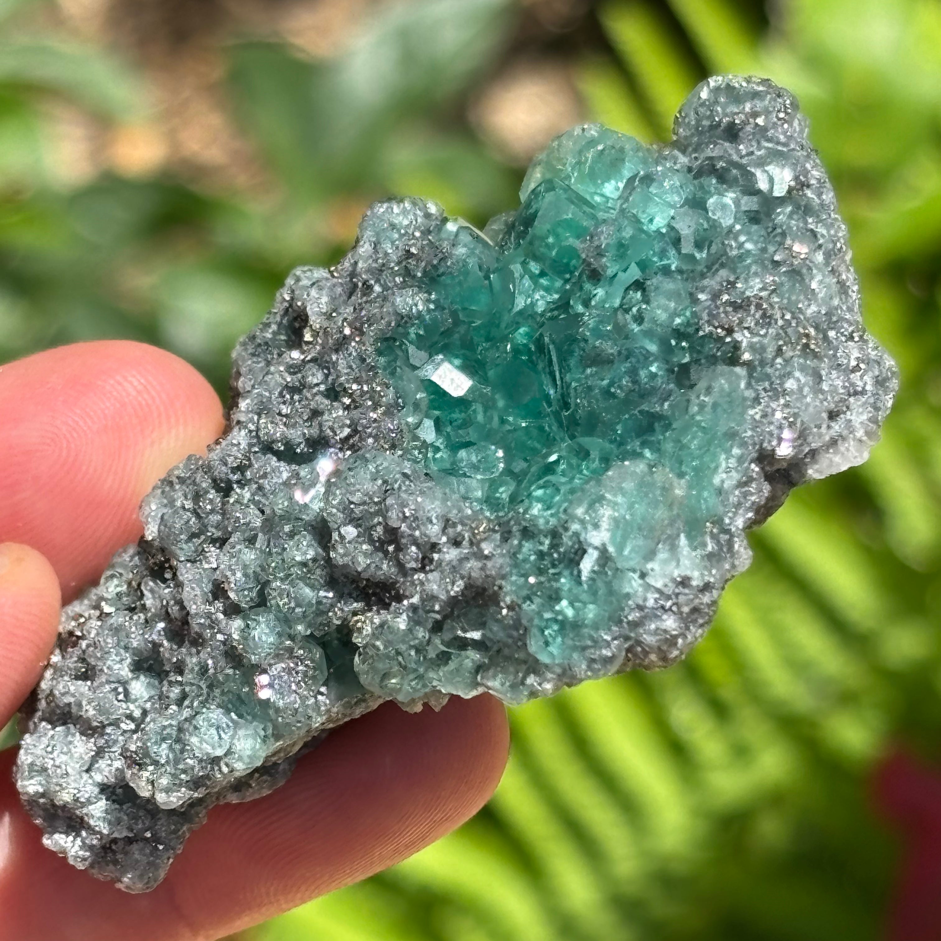 (EX) Supernatural Green Fluorite - 384