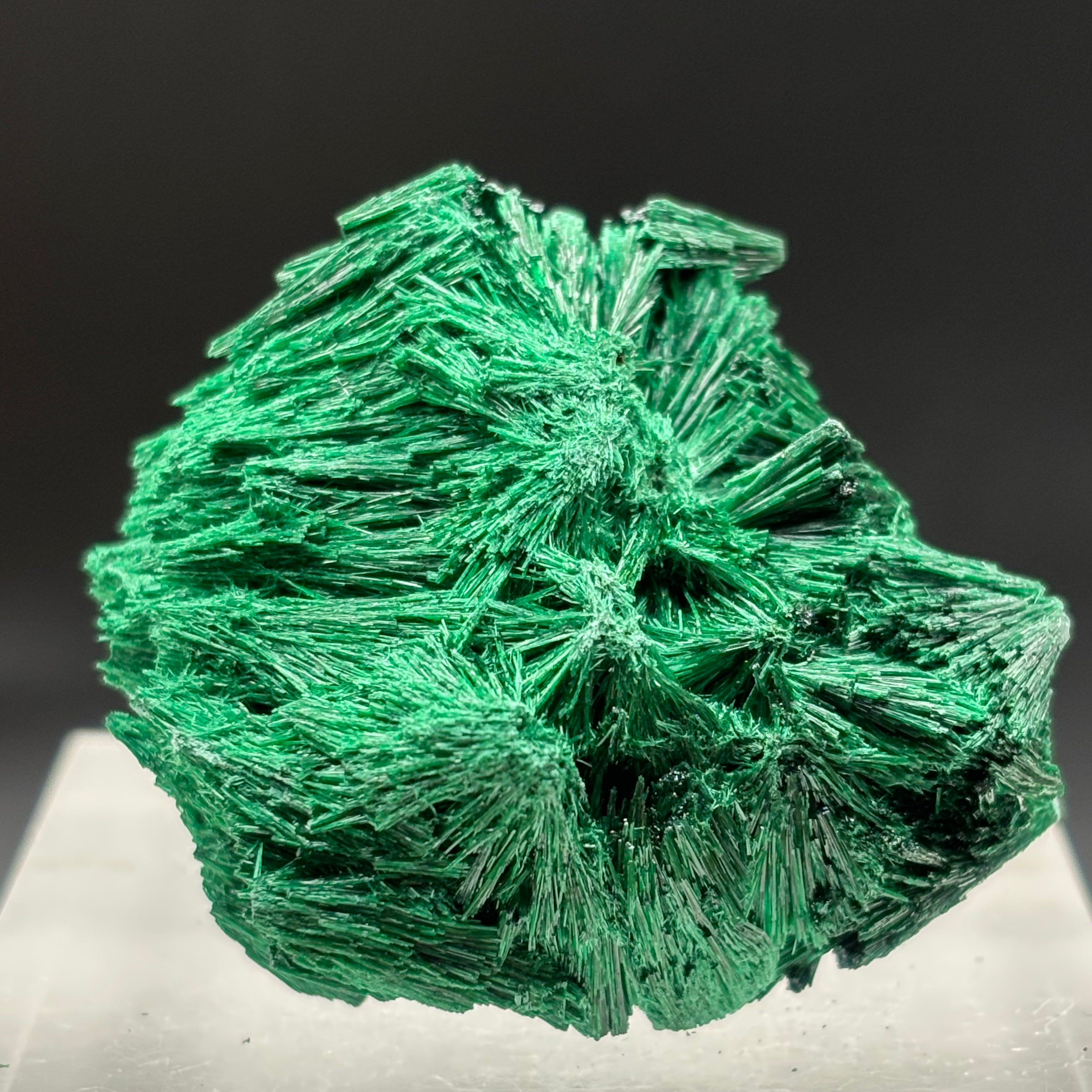 Emperor Malachite - 140