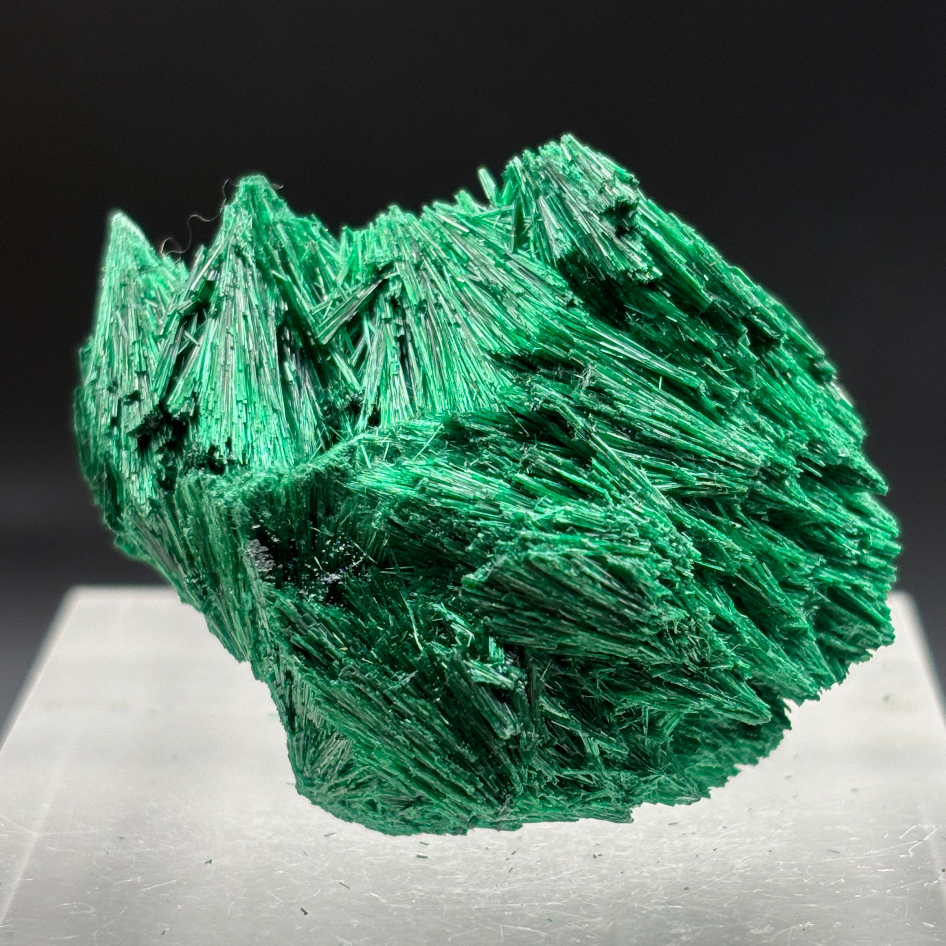 Emperor Malachite - 140