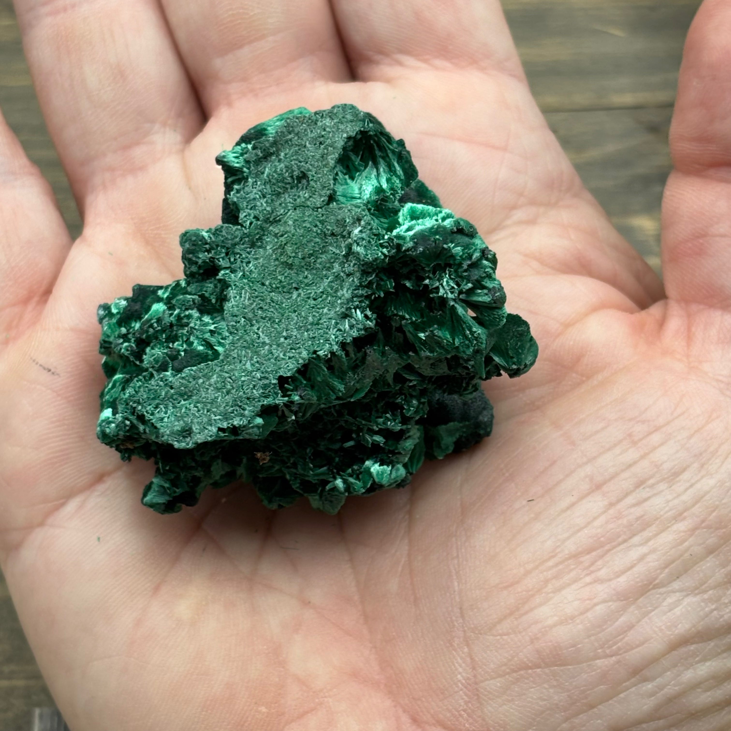 Emperor Malachite - 145