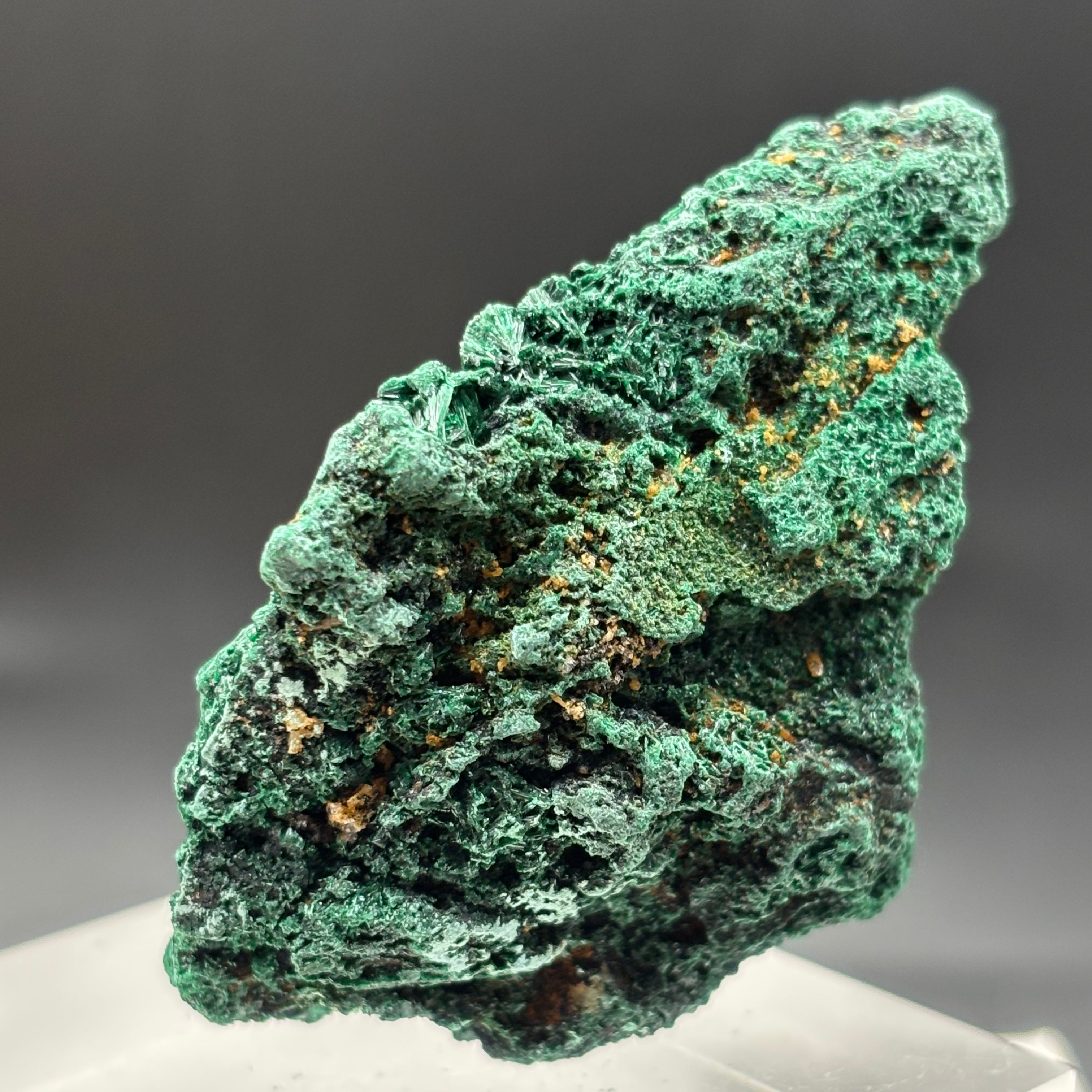 Emperor Malachite - 148
