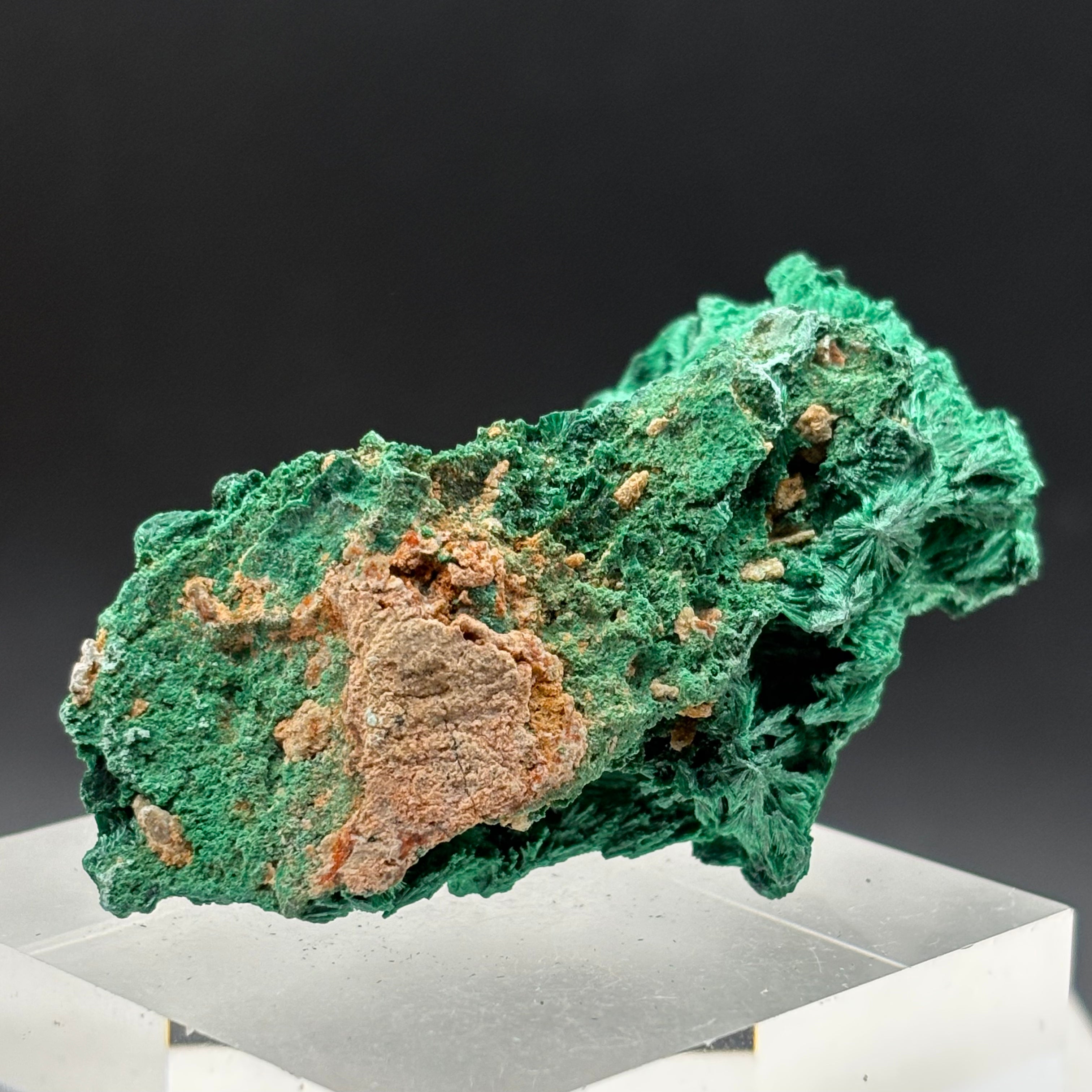 Emperor Malachite - 149