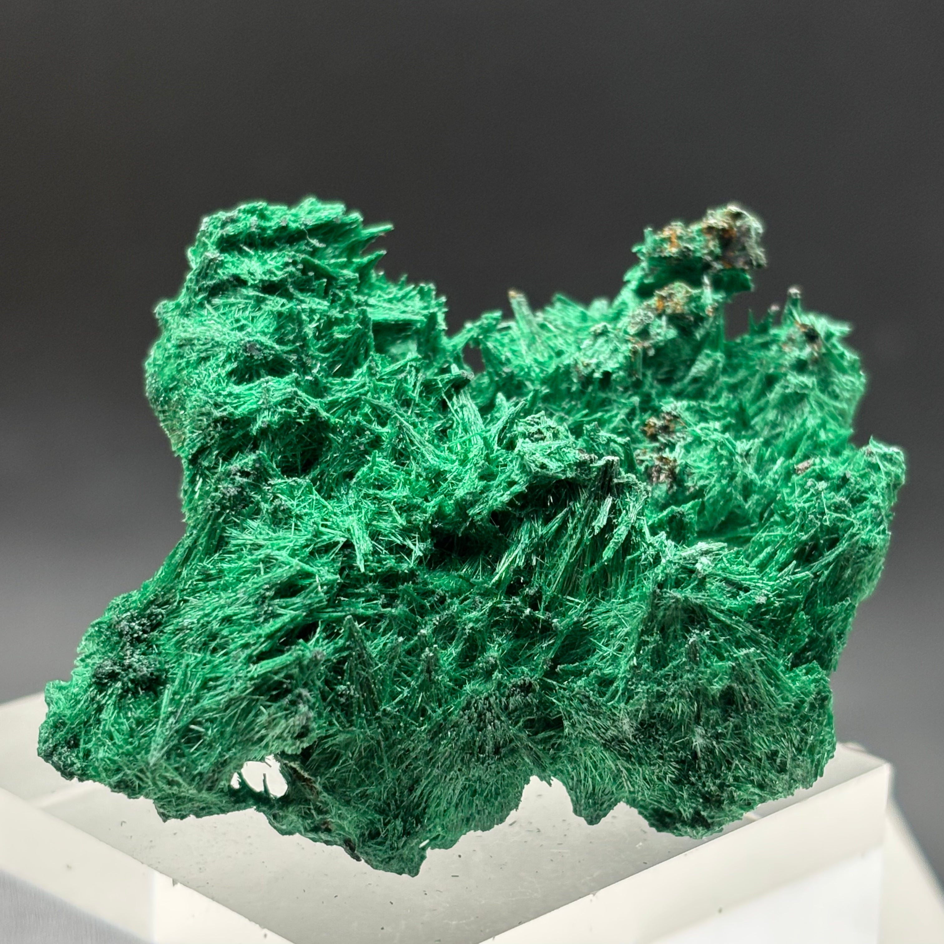 Emperor Malachite - 150
