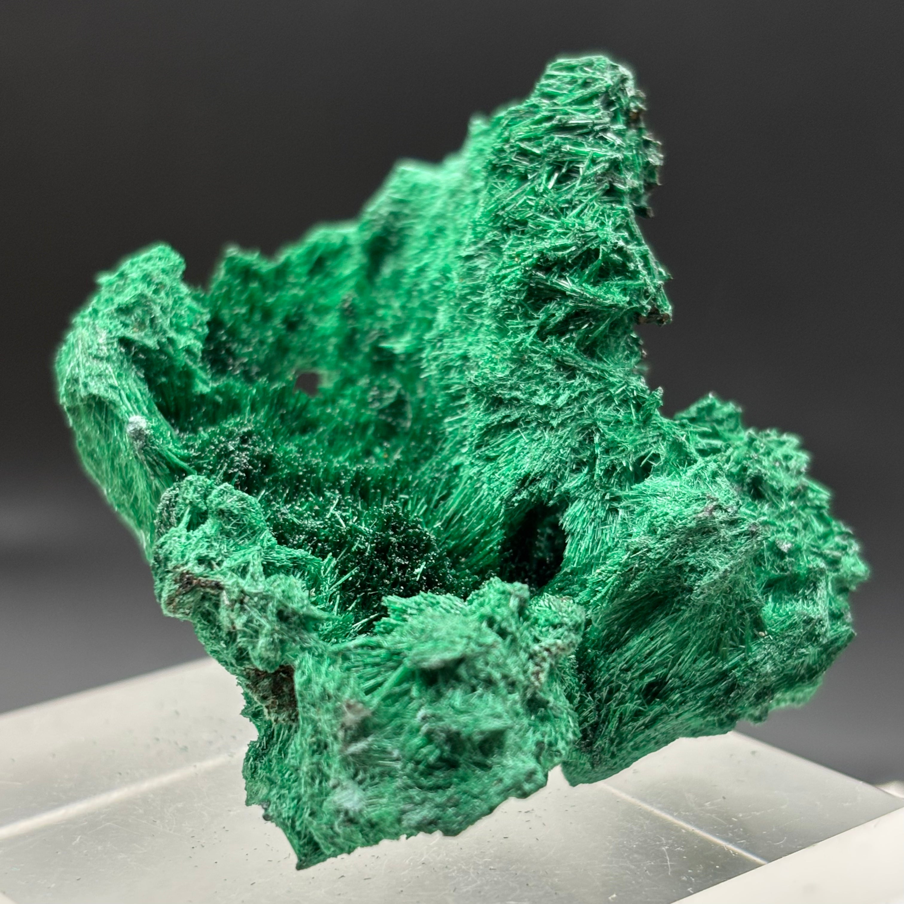 Emperor Malachite - 150