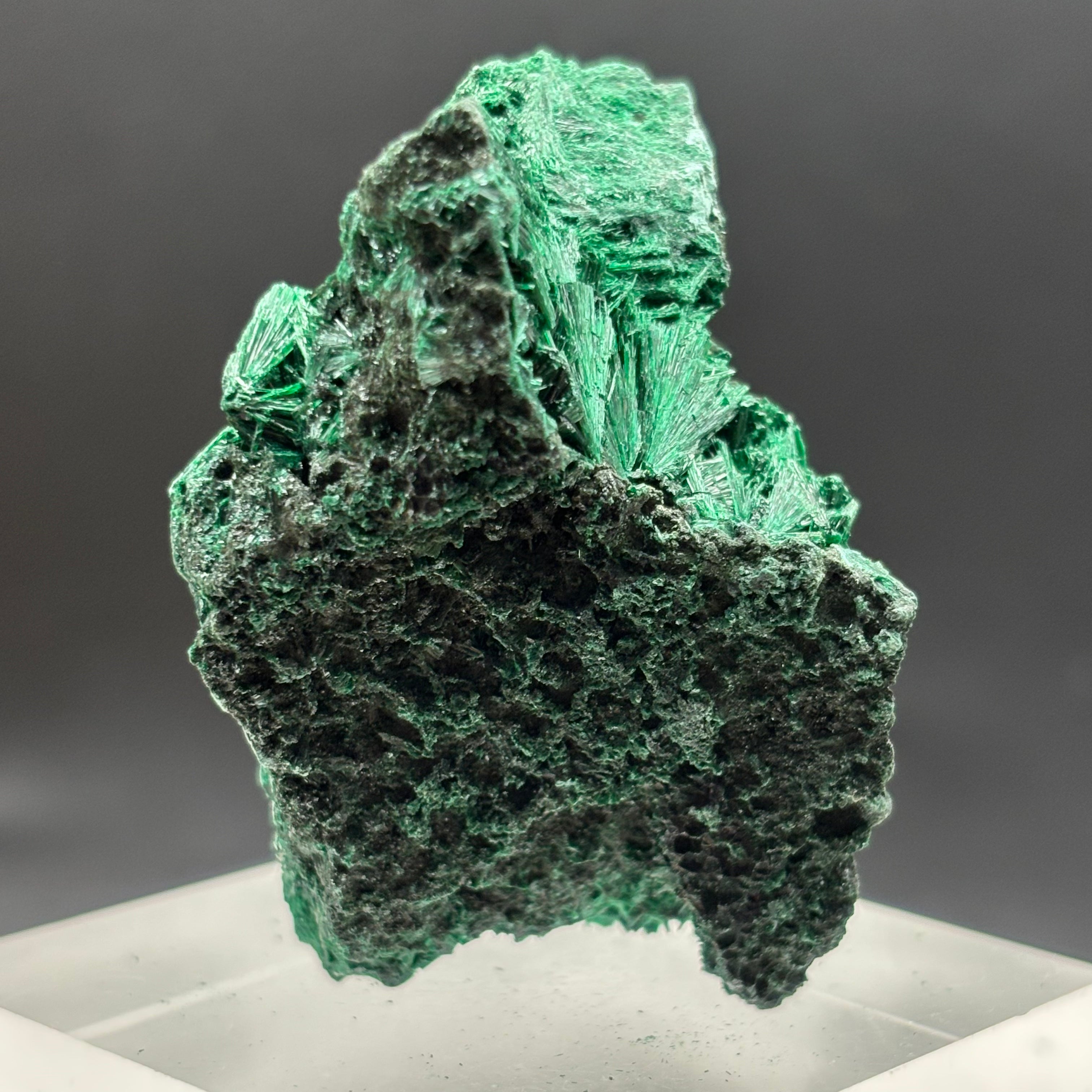 Emperor Malachite - 156