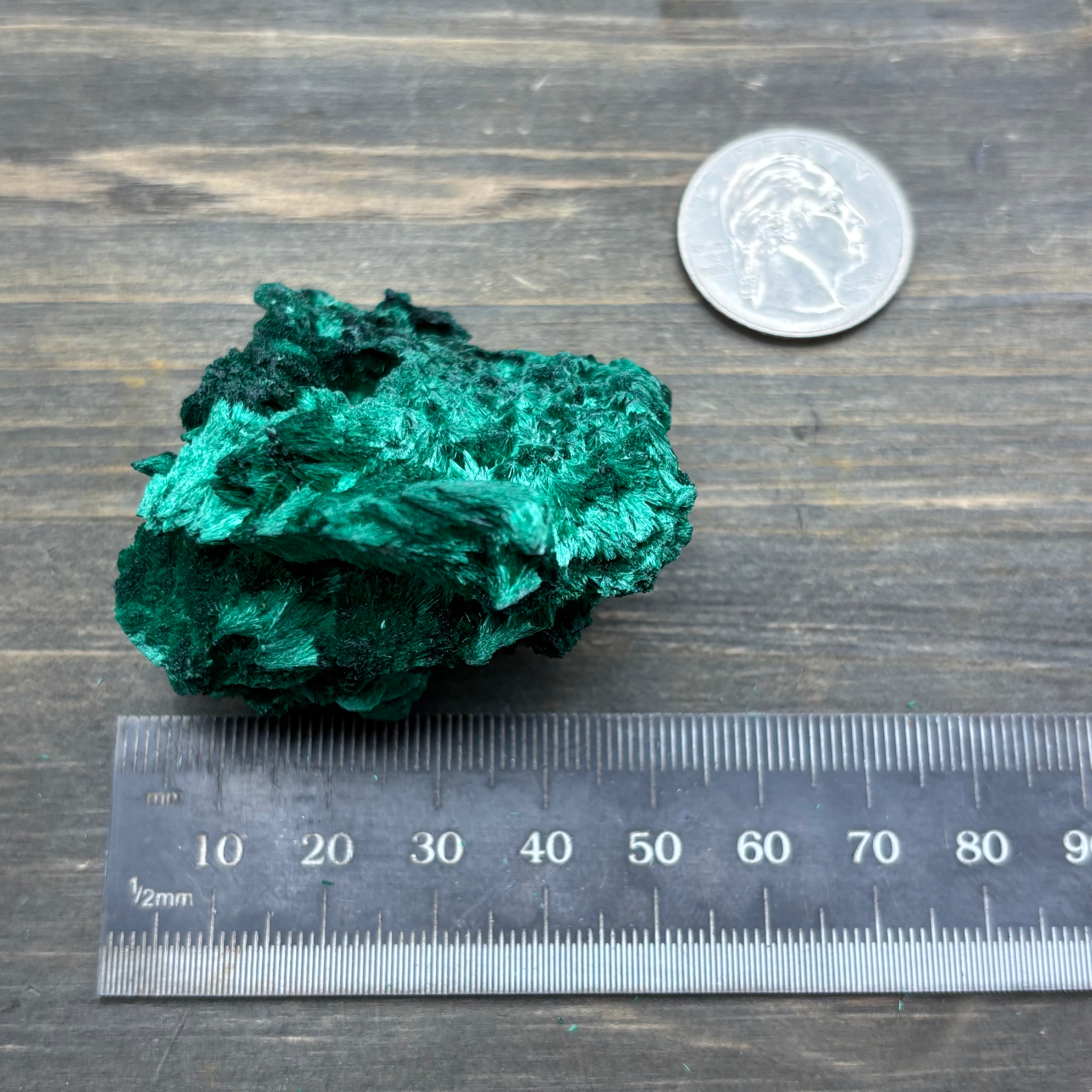 Emperor Malachite - 159