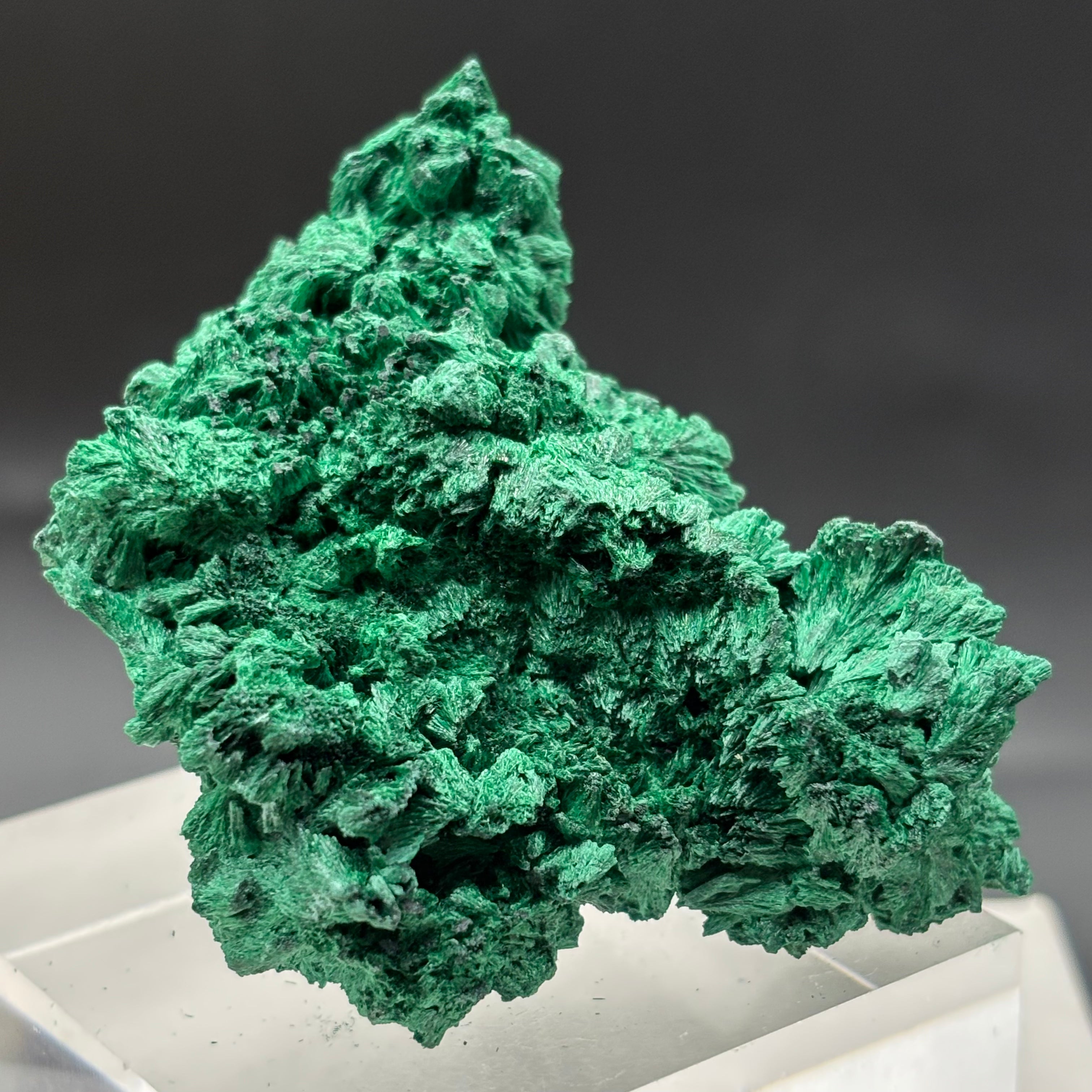 Emperor Malachite - 160