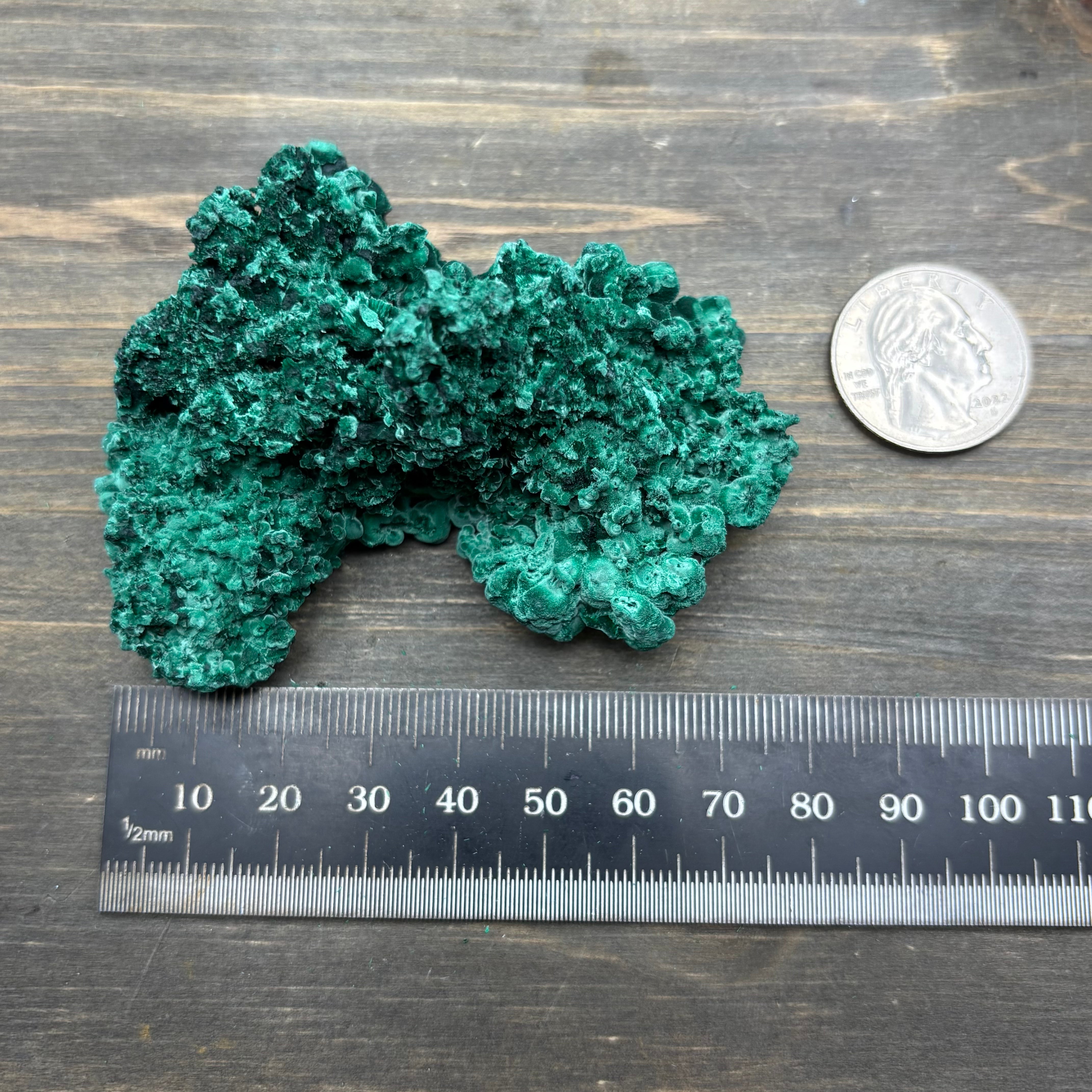 Emperor Malachite - 166