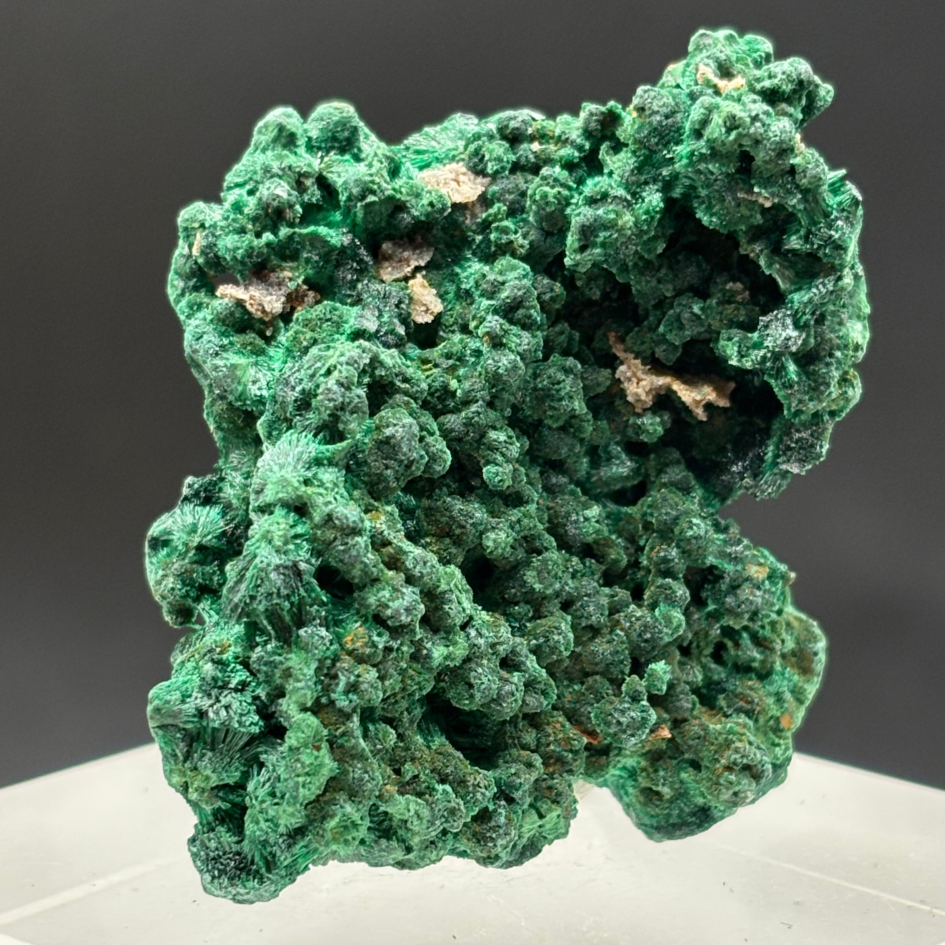 Emperor Malachite - 168
