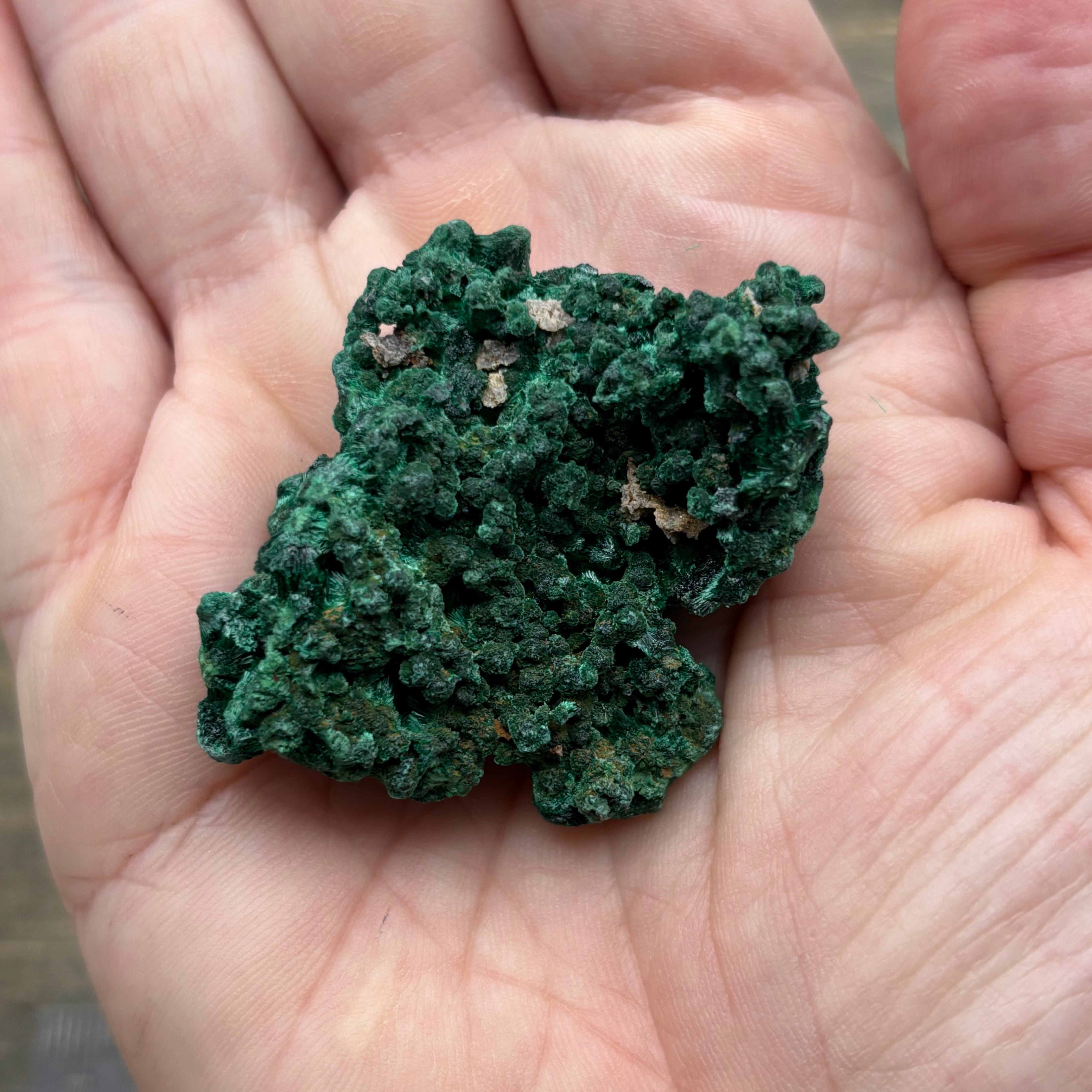 Emperor Malachite - 168