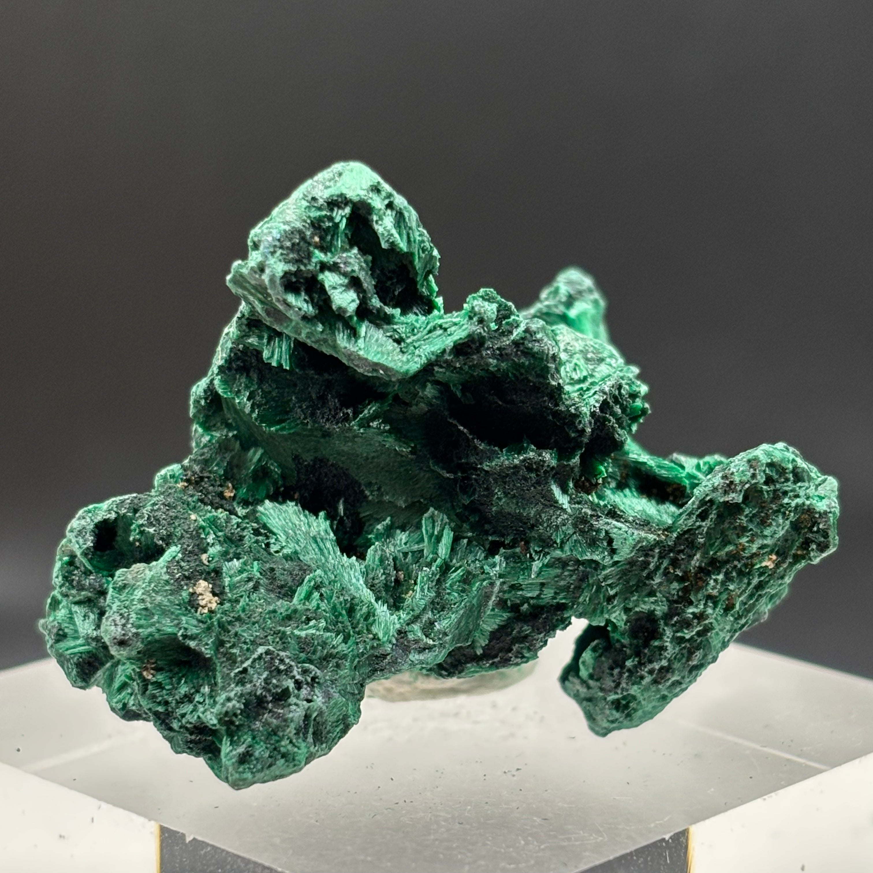 Emperor Malachite - 170