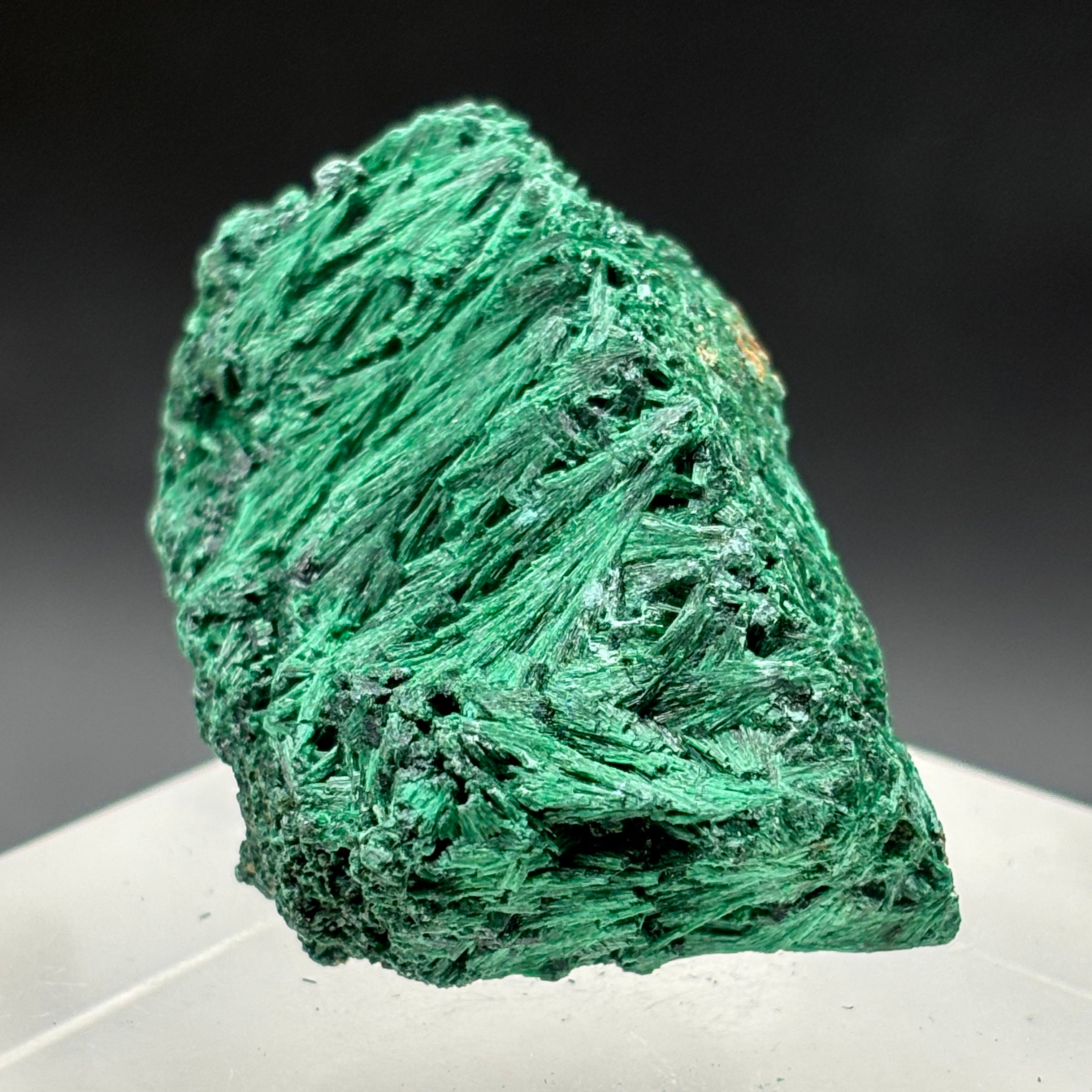 Emperor Malachite - 171