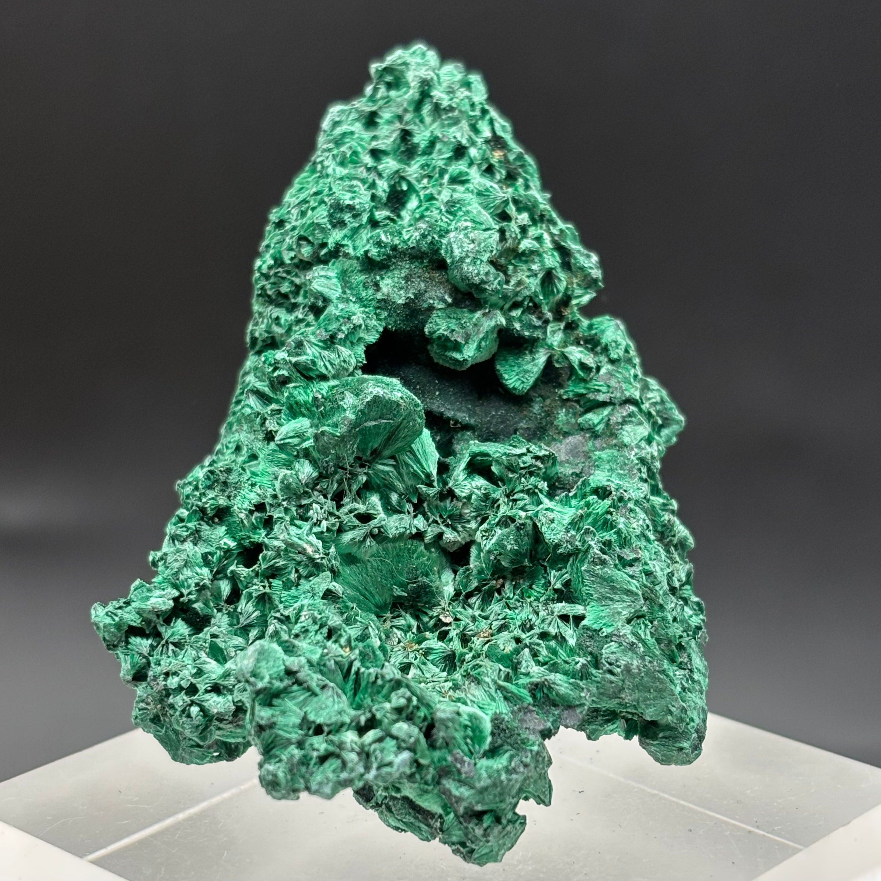 Emperor Malachite - 173