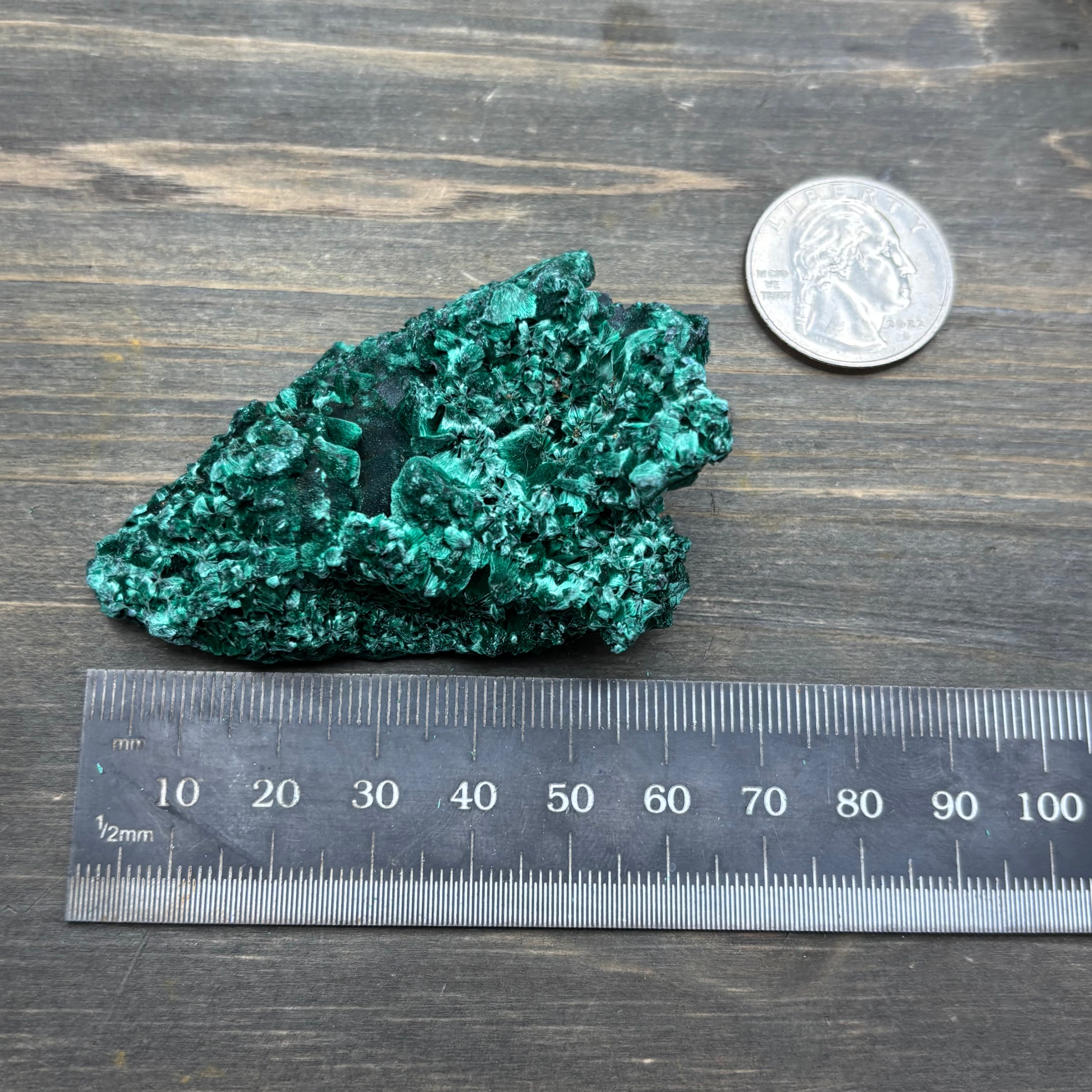 Emperor Malachite - 173
