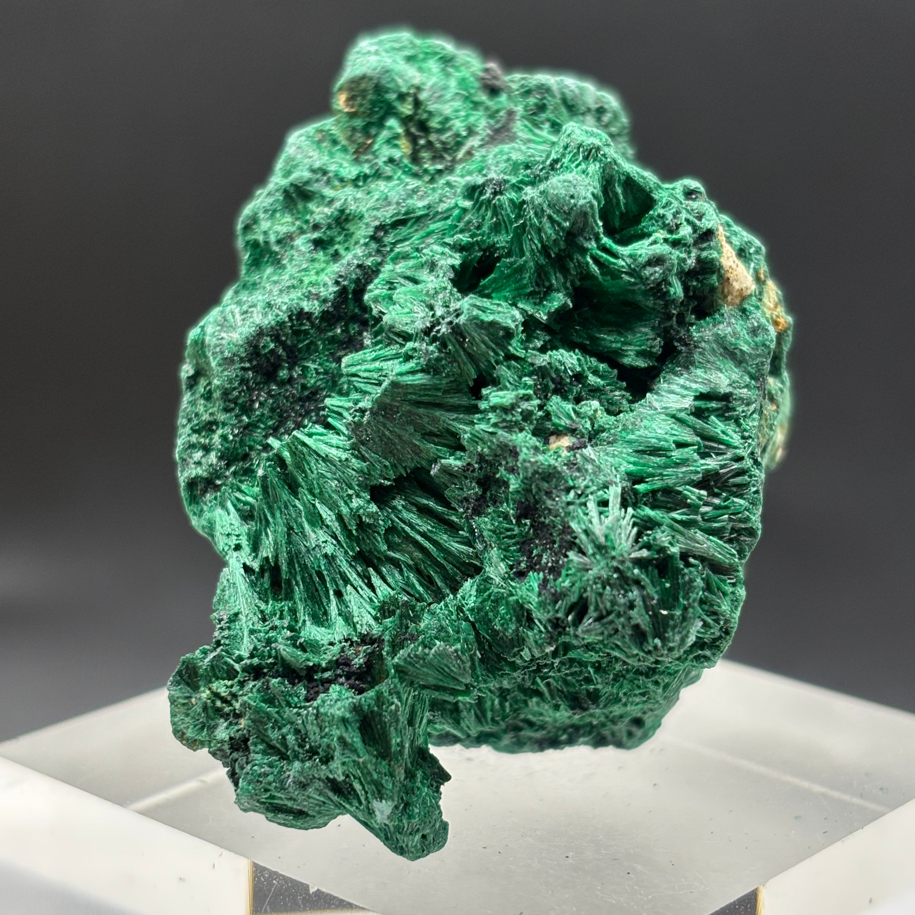 Emperor Malachite - 174